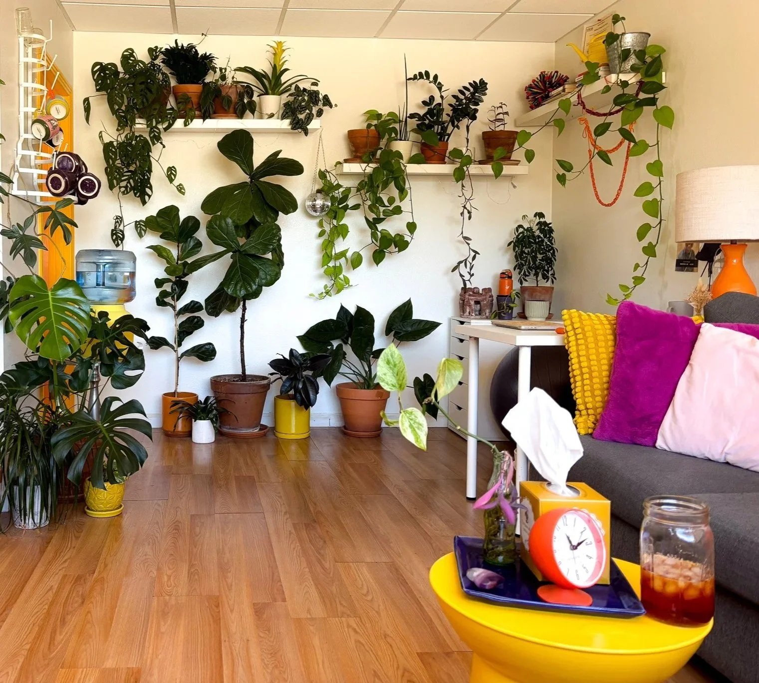 Interior of Yellow Trellis Counseling with colorful pillows on a grey couch and a wall covered in vibrant green plants
