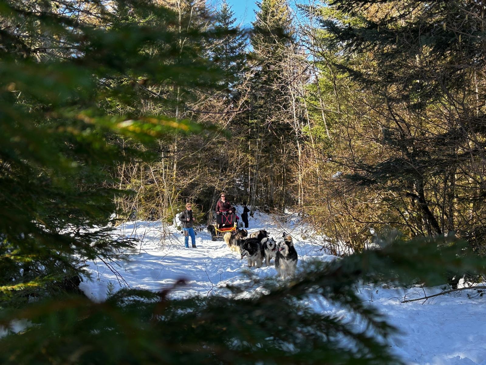 WhatsApp Image 2025-03-20 at 17.15.39 (11).jpeg