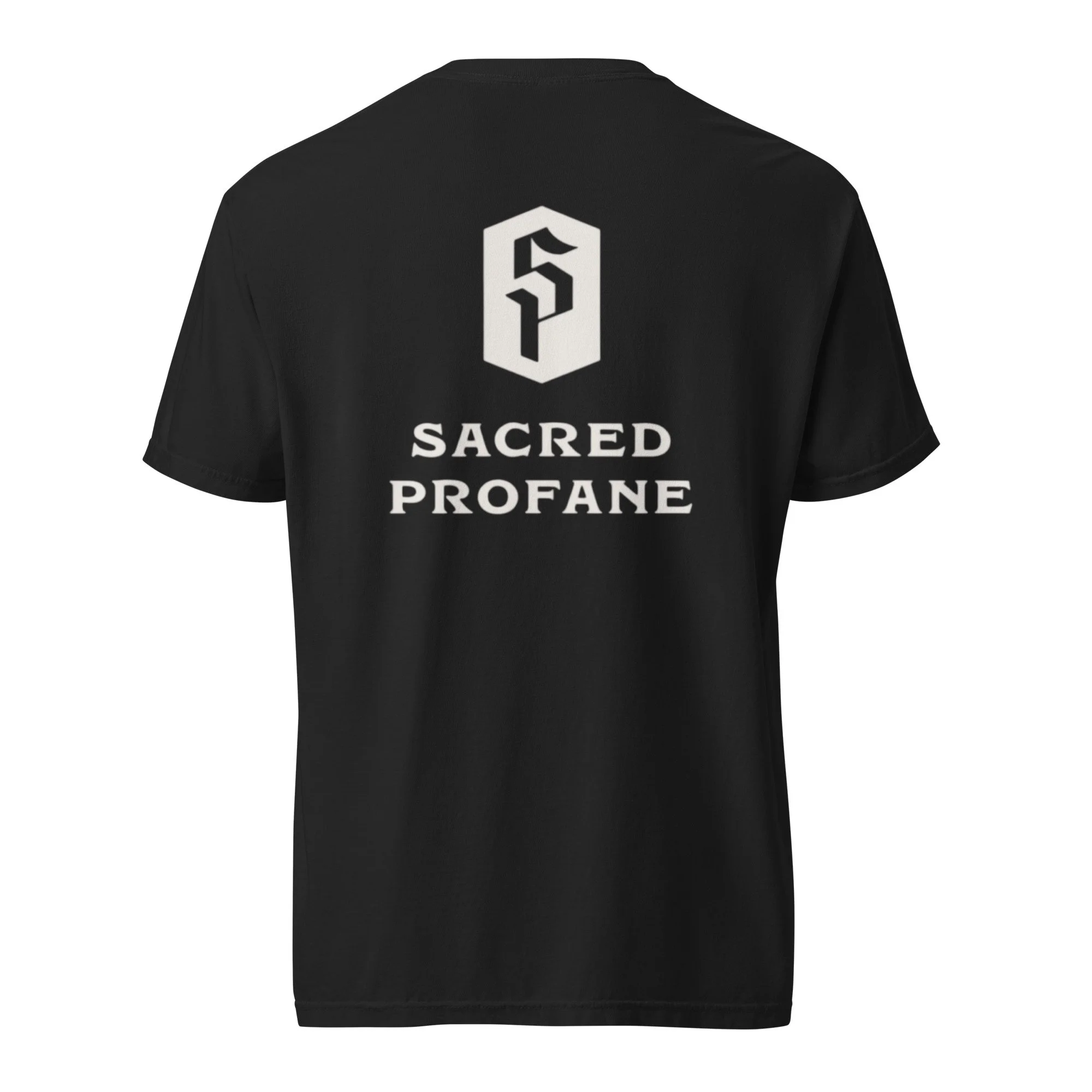 unisex-garment-dyed-heavyweight-t-shirt-black-back-67fe57c0ef6bb.jpg
