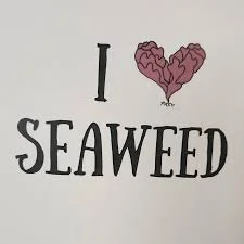 MAINE SEAWEED WEEK TICKETED DINNER