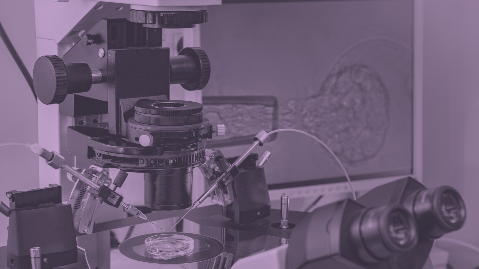 Leading IVF Lab Services Nationwide — Ovation Fertility