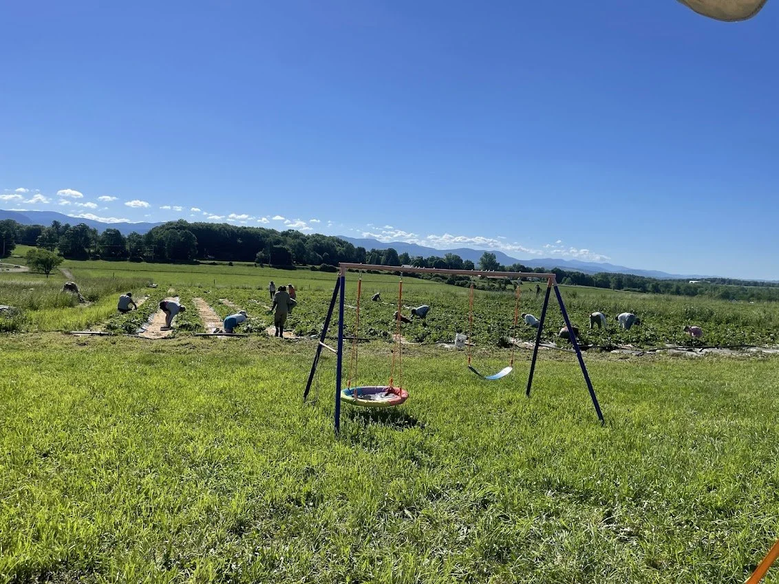 picking.jpg