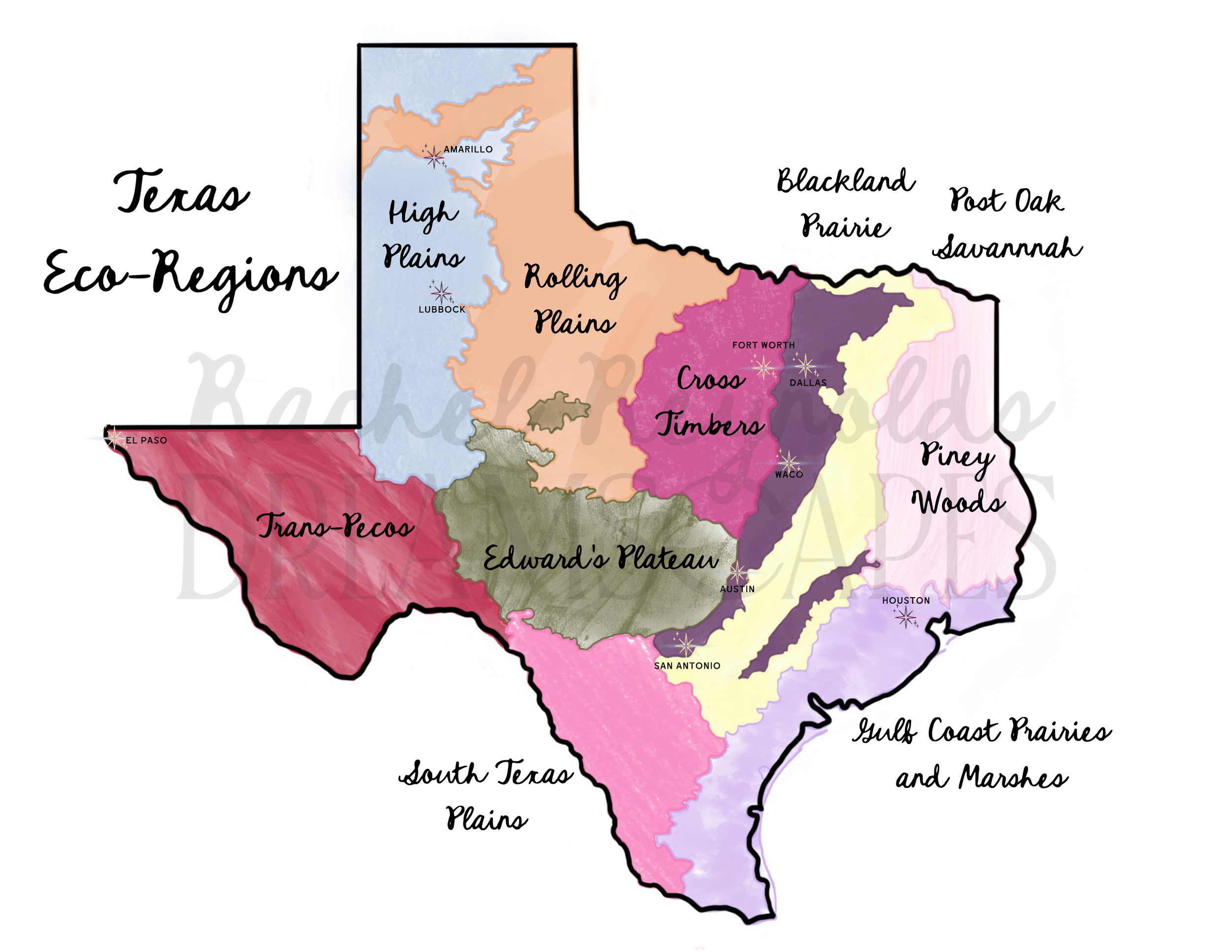 Texas Level 3 Eco Region map.png
