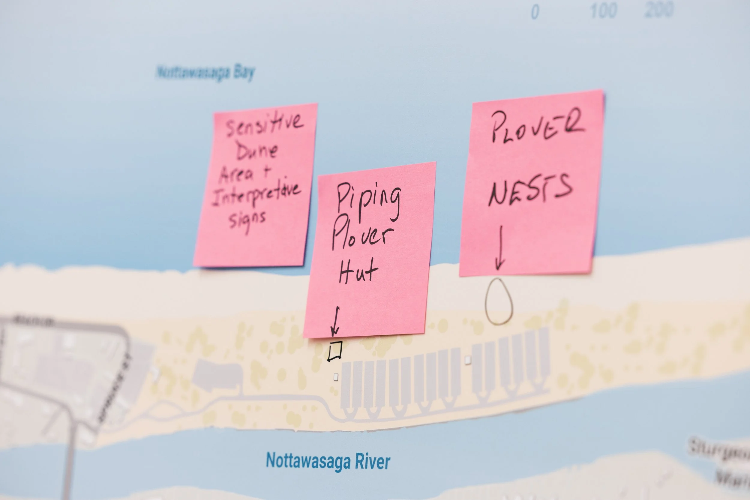 Destination Wasaga Workshops-92.jpg