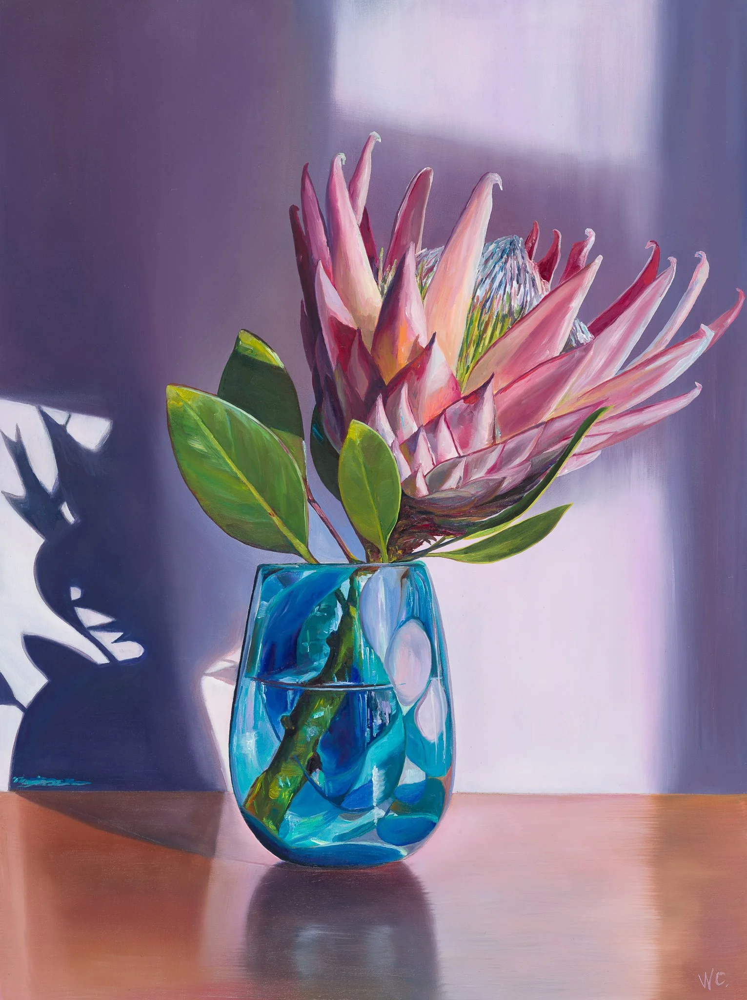king pink protea in blue