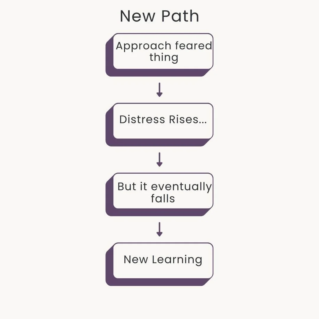Diagram comparing the recurring nightmare cycle of fear, avoidance, and relief with a new pathway of approaching the nightmare, allowing distress to fall, and creating new learning.
