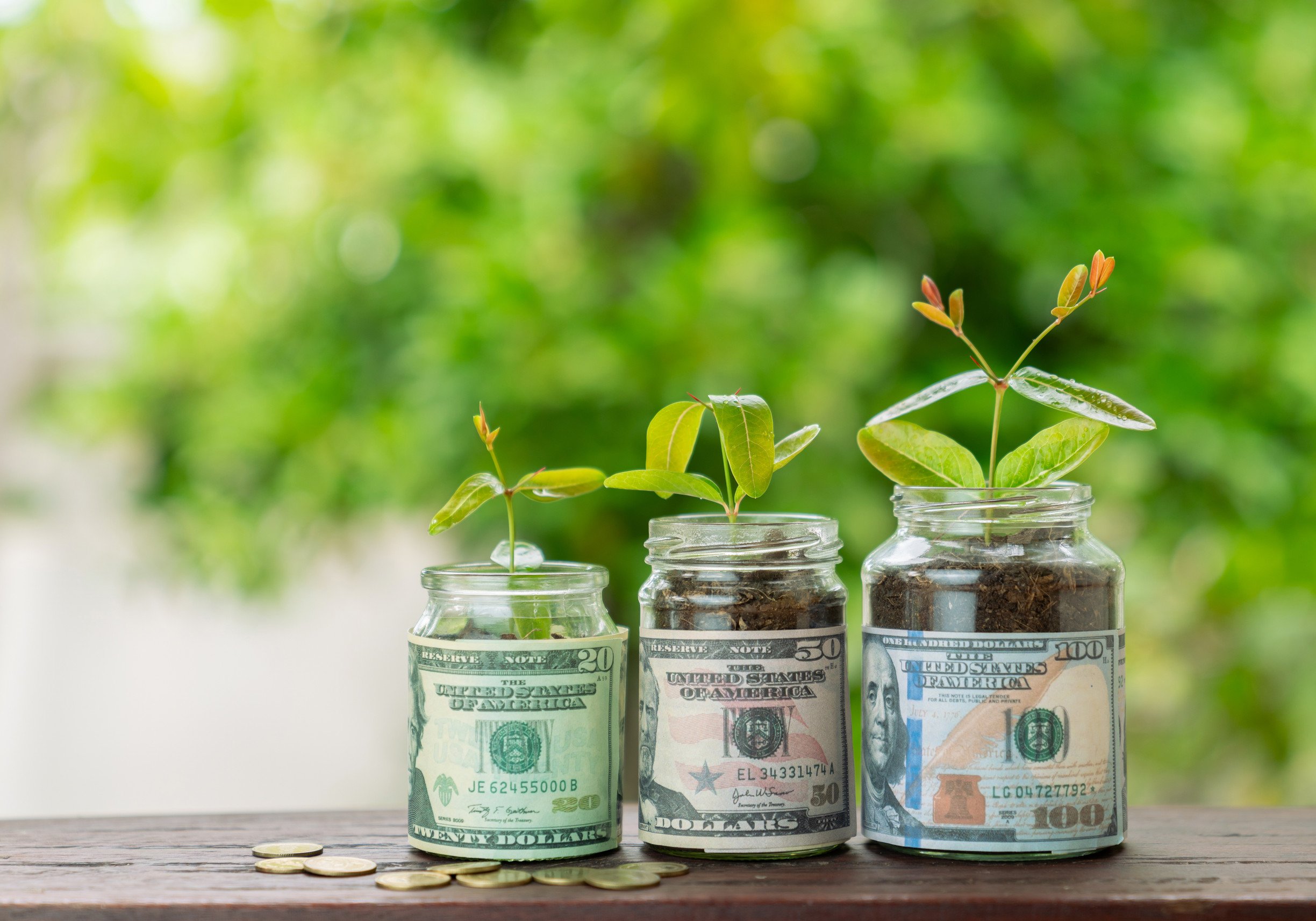 Achieving Security with Funding Diversity: 13 Funding Sources Every Climate Organization Should Know