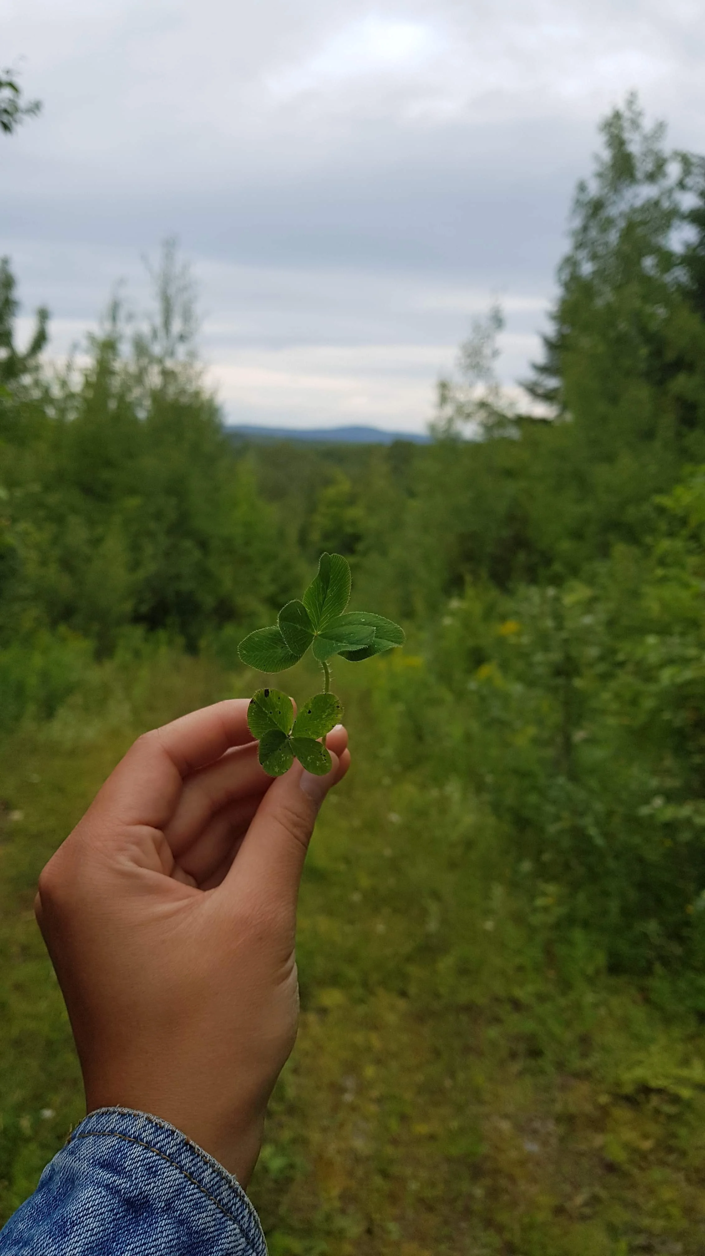 Le grand saut : Là où tout a commencé