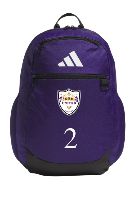 Adidas Purple Backpack