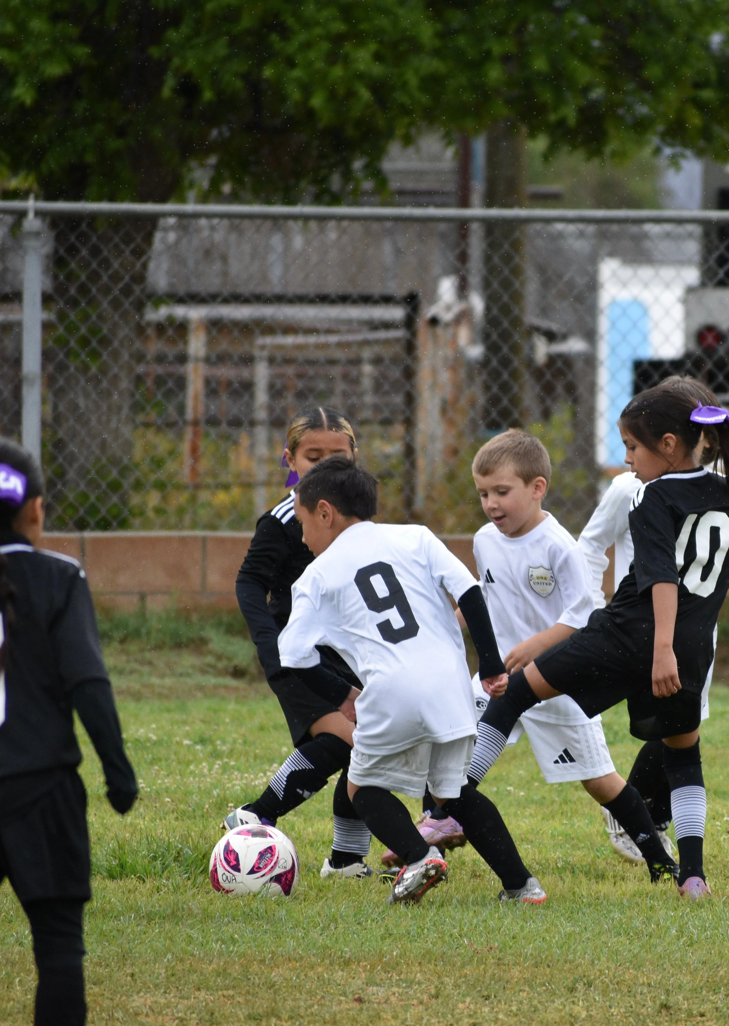 DSC_0662.JPEG