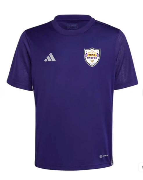 Purple Game Day Jersey