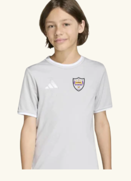 Adidas Grey Training Shirt