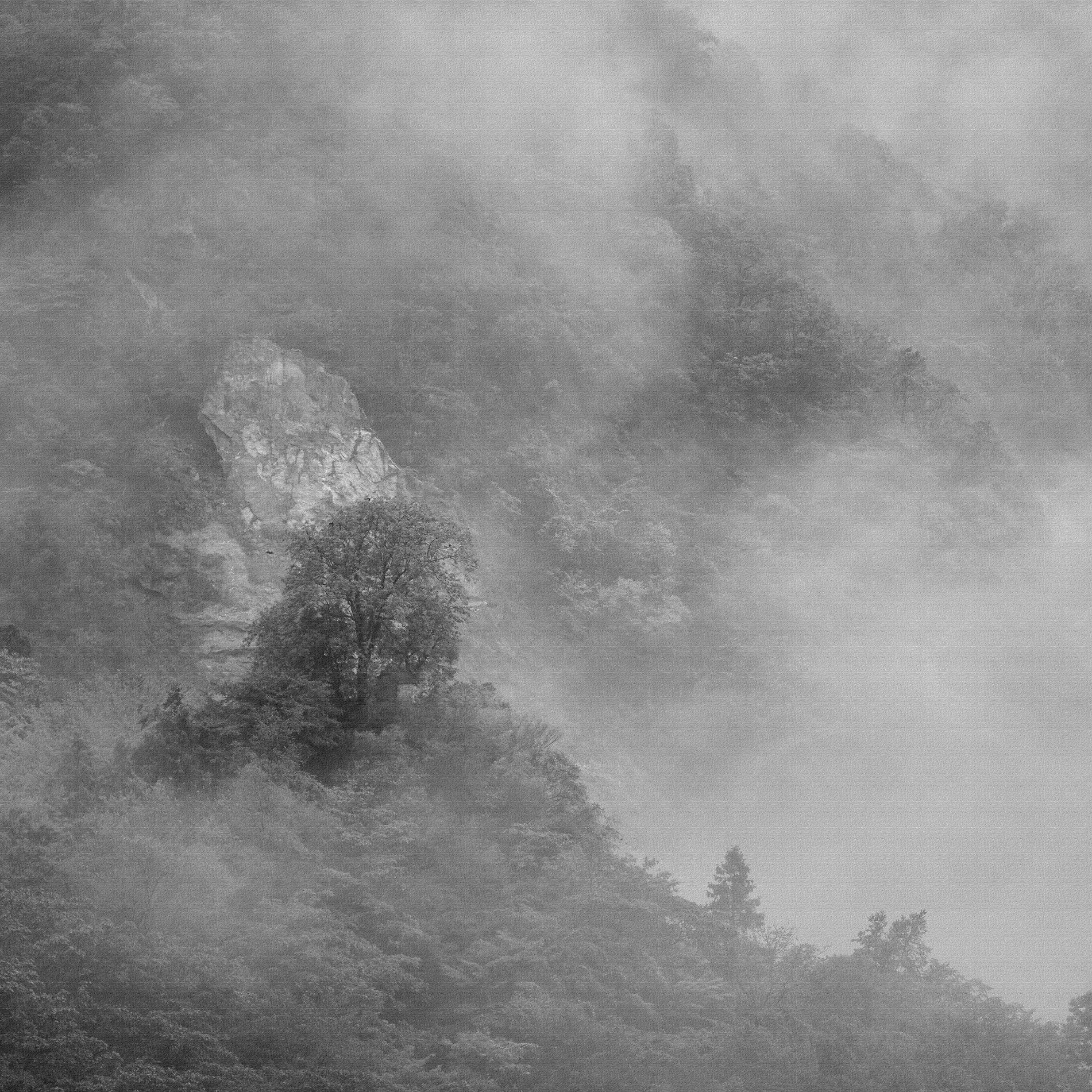 Just Passing Through