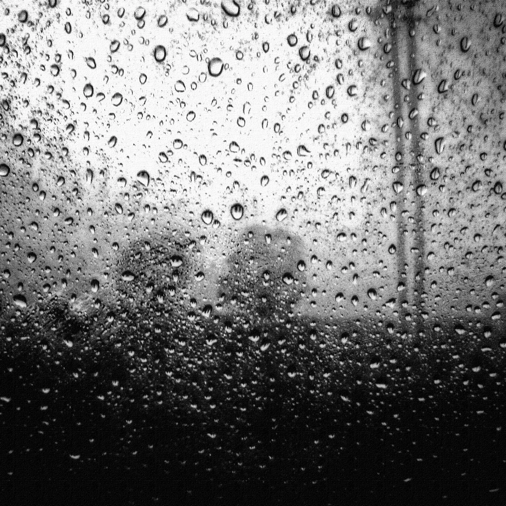 Back to the Beginning