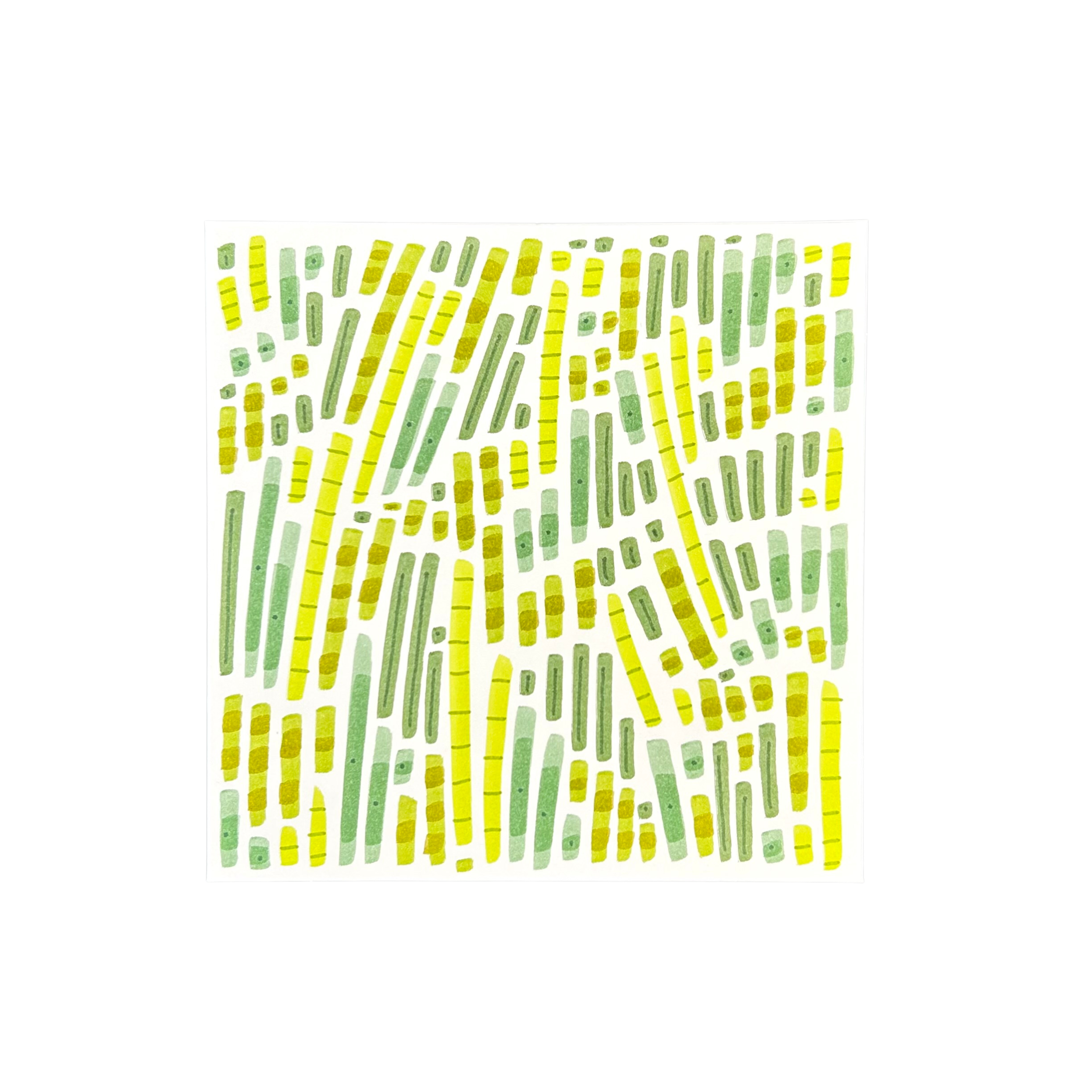 LARGE SQUARE CARD -11.PNG