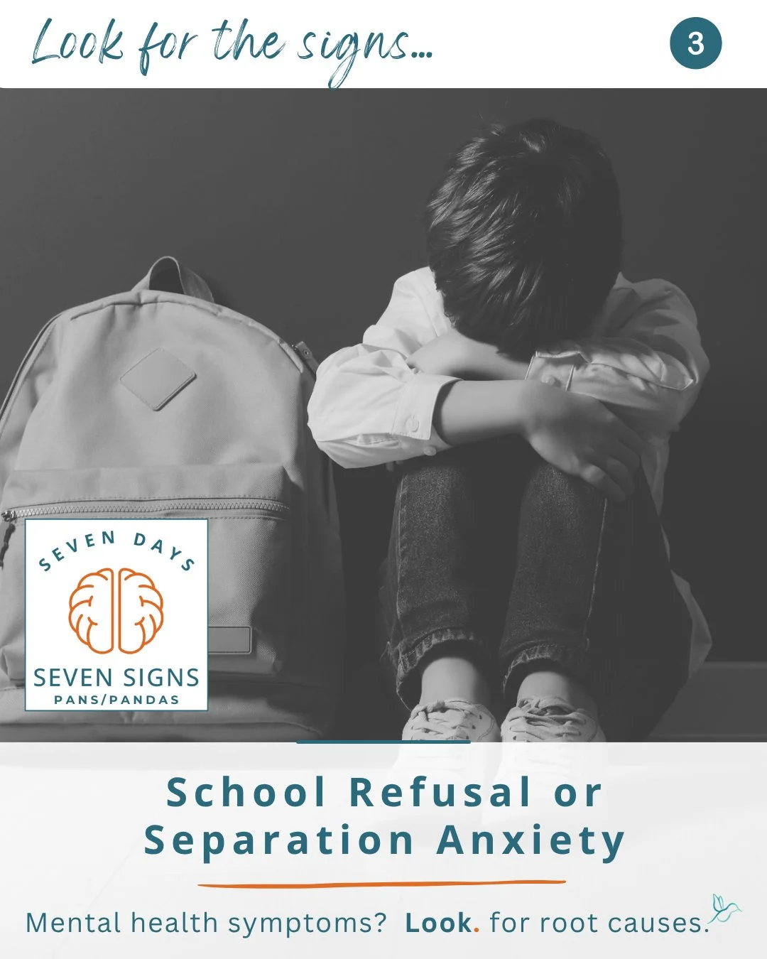 Day 3 of 7 Signs of PANS 💚
&ldquo;He won&rsquo;t go to school anymore.&rdquo; &ldquo;She can&rsquo;t be alone.&rdquo;
When fear takes over suddenly, it can be a sign of brain inflammation &mdash; not defiance.
What looks like anxiety or school refus