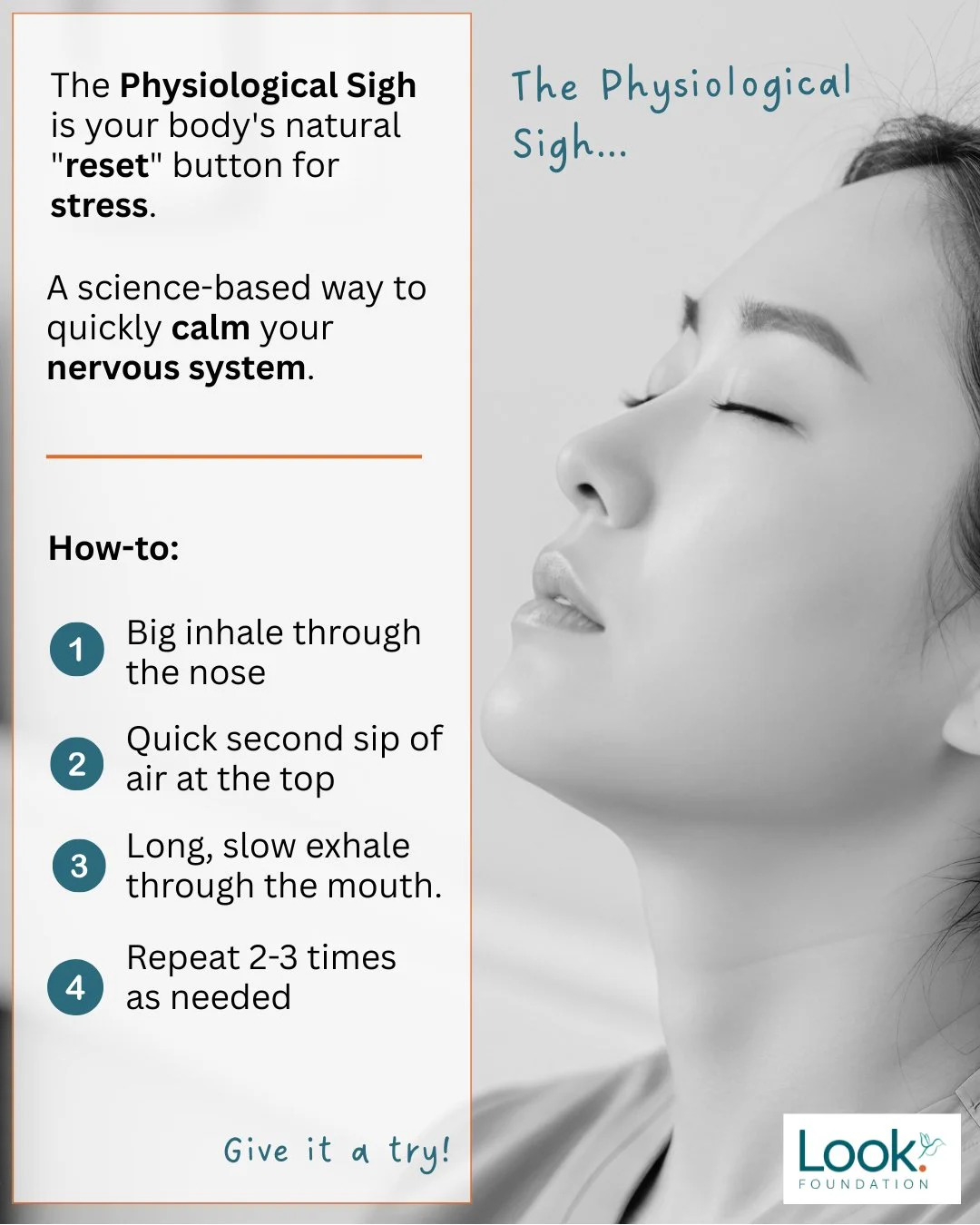 🧡 Overwhelmed? In crisis mode? Just need a pause?

This is for you &mdash; parents, caregivers, young adults, and kids alike.

The Physiological Sigh is your body&rsquo;s natural &ldquo;reset&rdquo; button for stress.

A simple, science-backed tool 
