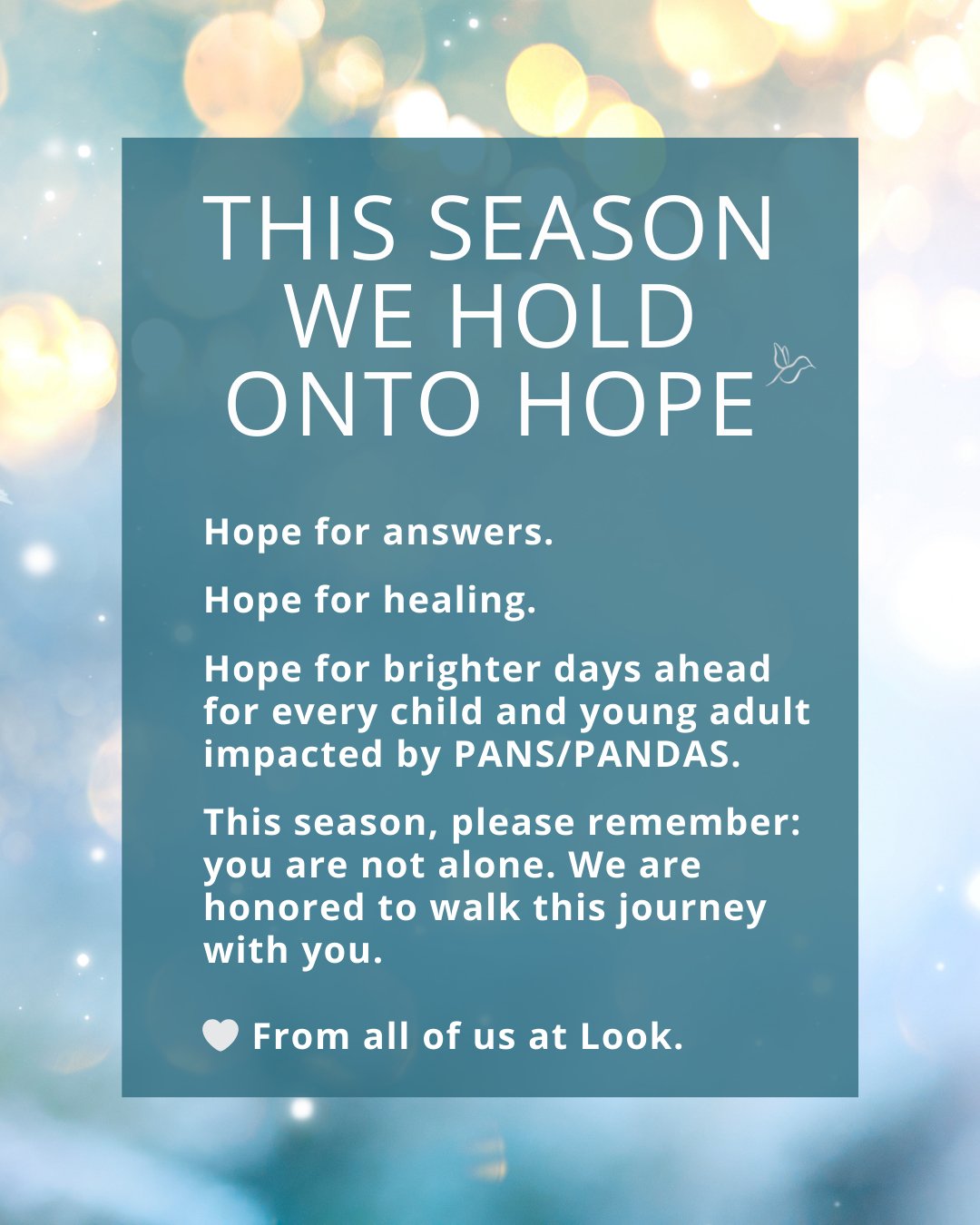 As the year winds down, we&rsquo;re reminded of the strength it takes to keep going &mdash; and the power of having support along the way. For every family impacted by PANS/PANDAS, know that you are seen, valued, and supported. Together, we continue 