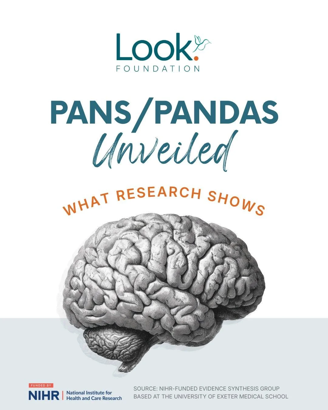 A new evidence and gap map brings together the current global research on PANS and PANDAS, conditions associated with the sudden onset of severe neuropsychiatric symptoms in children.

Researchers reviewed 445 studies examining causes, symptoms, diag