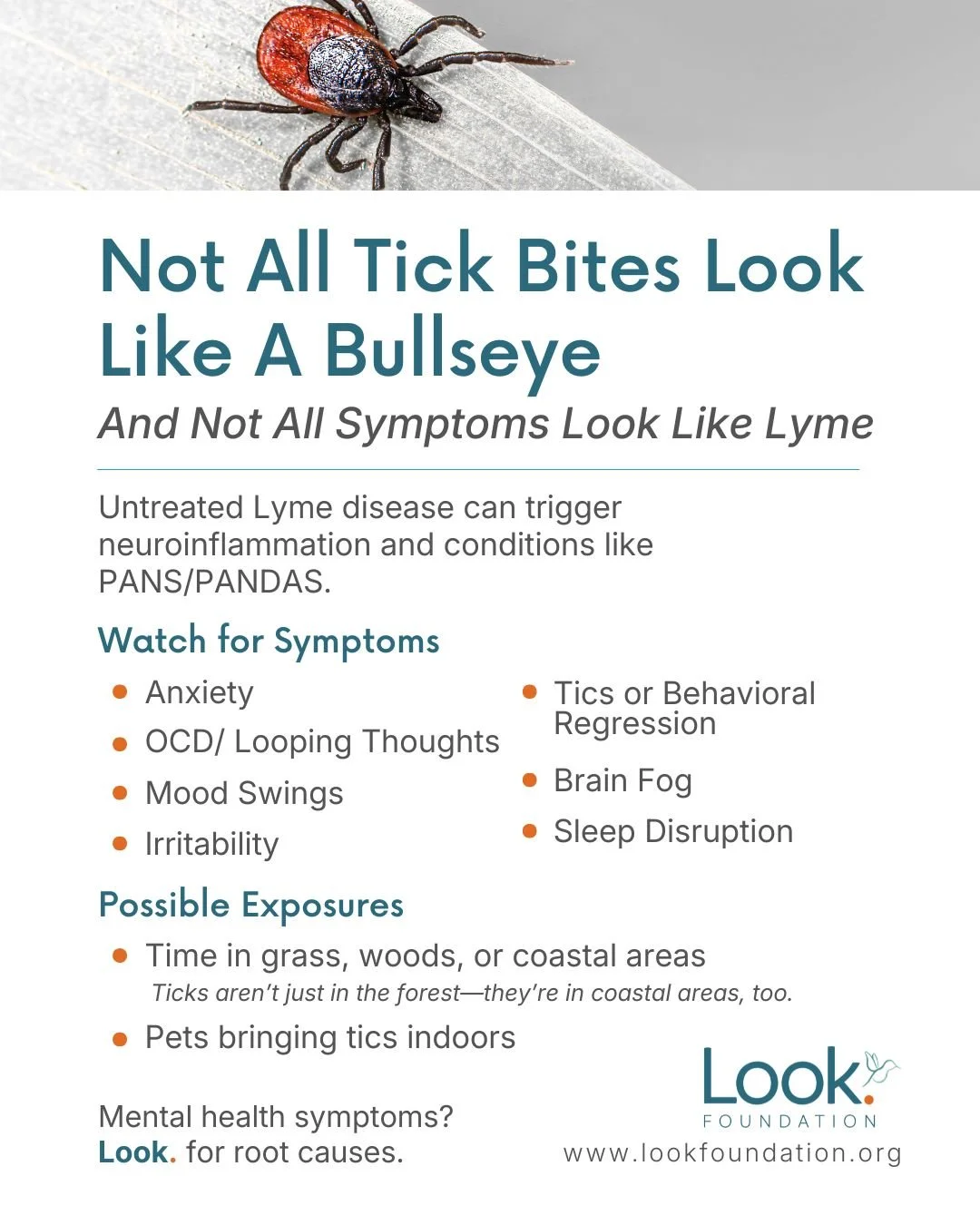 Not every tick bite comes with a bullseye rash.

Lyme disease can go unnoticed and, if left untreated, may trigger neuroinflammation linked to PANS/PANDAS. For many families, the first signs are sudden behavioral or neurological changes not a clear i