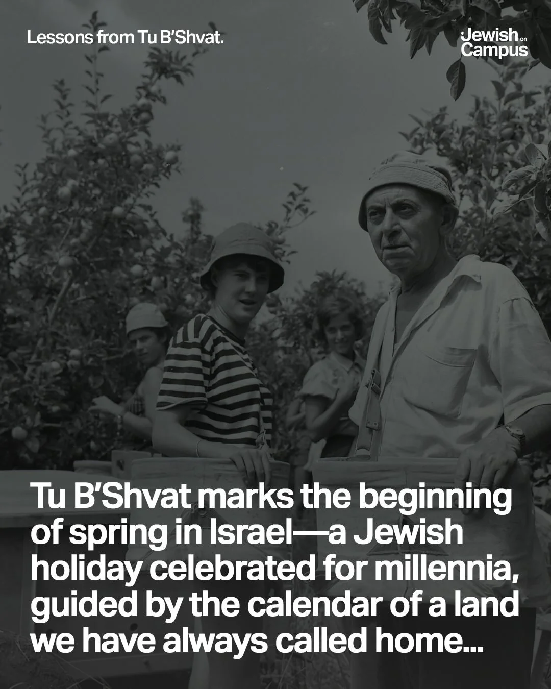 Tu B&rsquo;Shvat is the New Year of the Trees. Chag Sameach from Jewish on Campus.