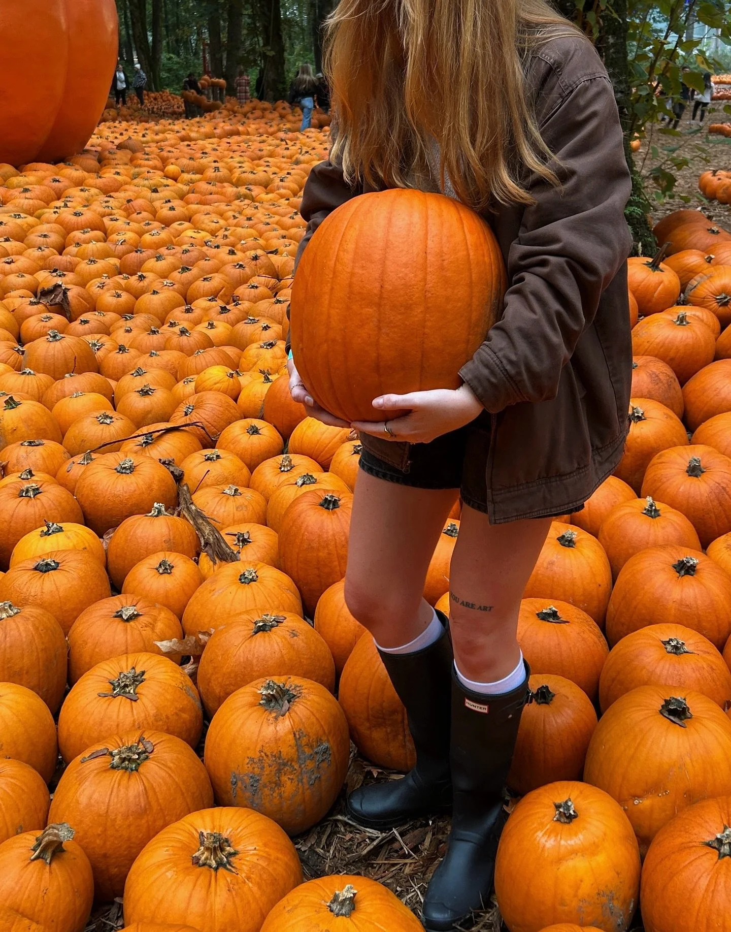 a saturday morning autumn waltz 🍂