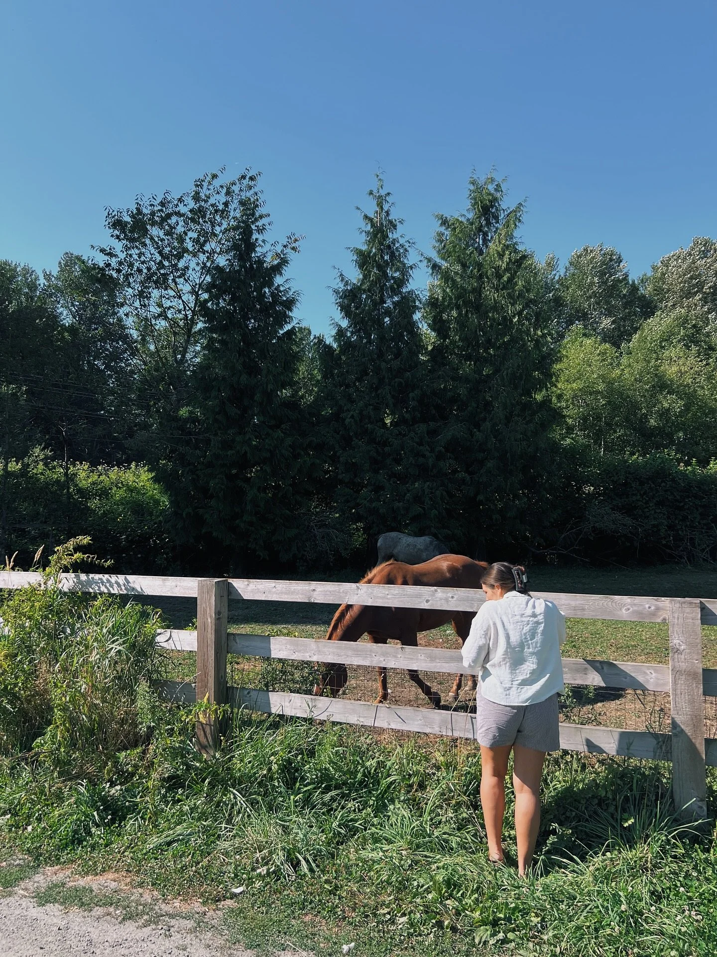 a chilliwack summer 🌾🌊
