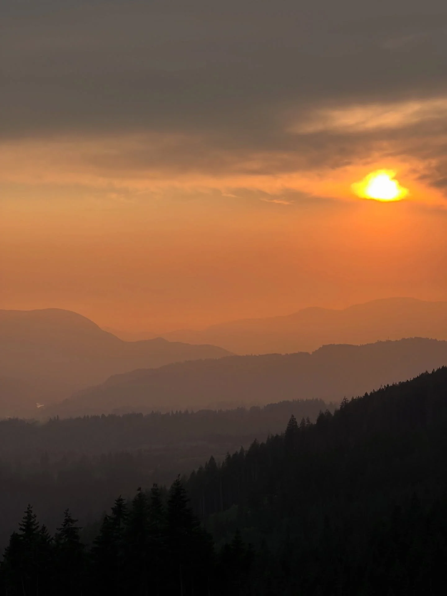 i&rsquo;ll have the pasta, served mountainside please 🍅🌲