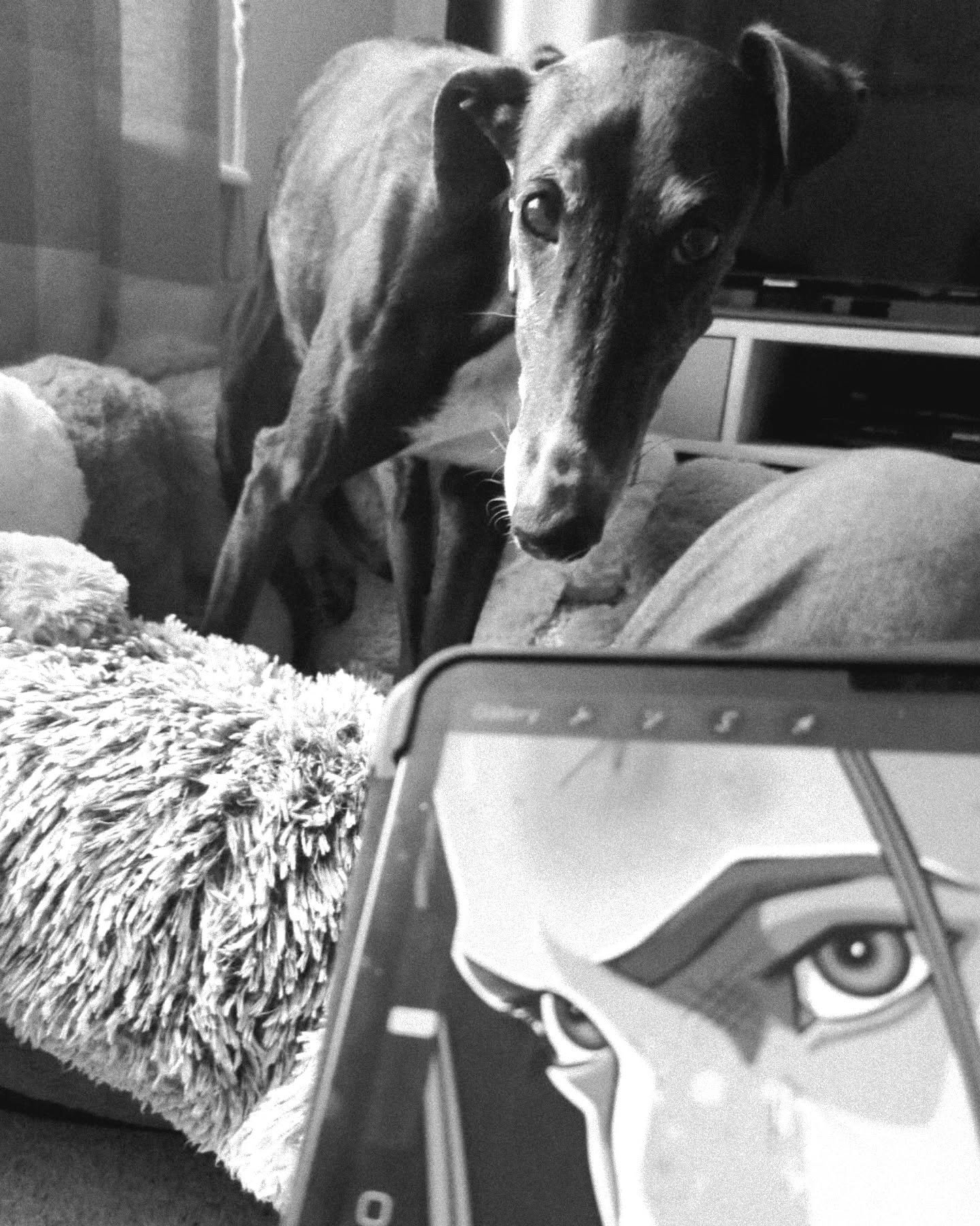 All commissions require close supervision and quality control. 🐾

@magpietherescuegalgo 

#commissions #officeassistant #hb0m8 #magpietherescuegalgo