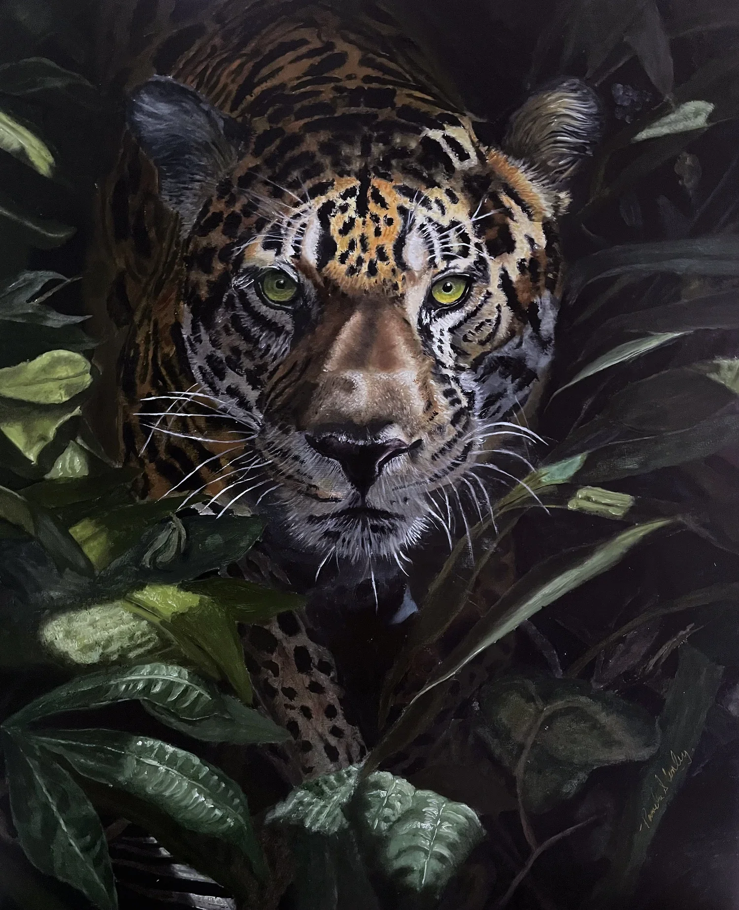 Jaguar Hunting