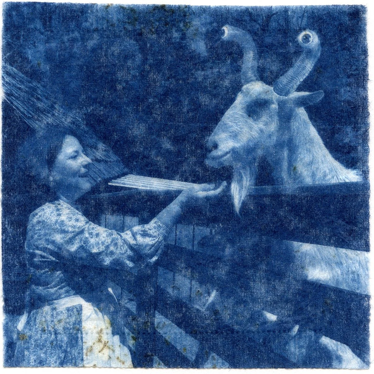 Blue Ribbon Winner