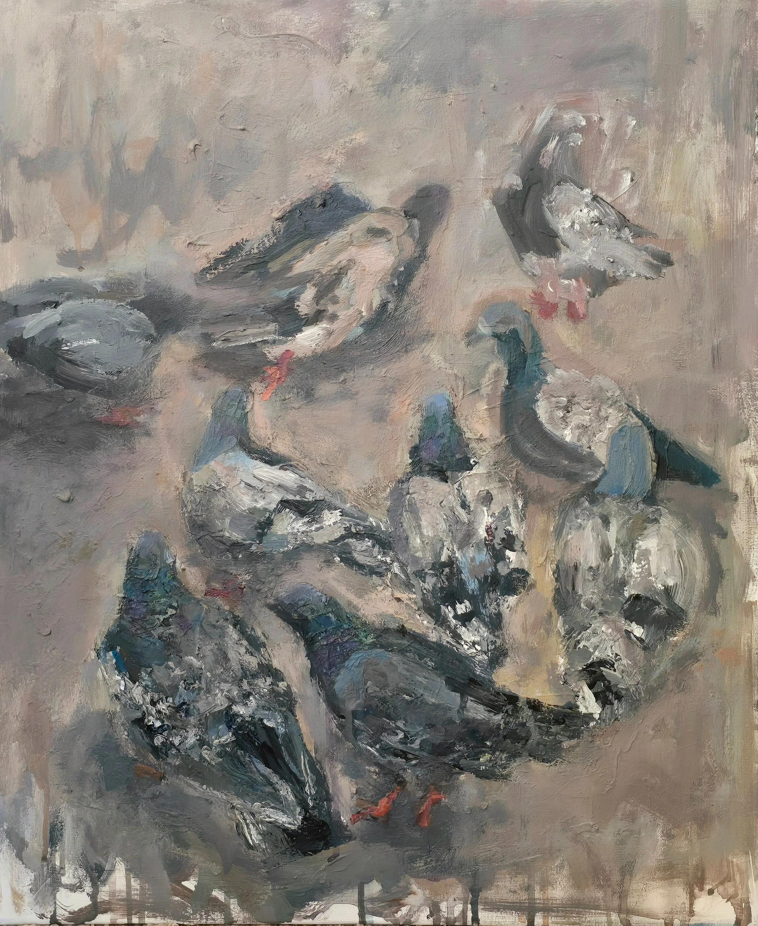 Pigeons