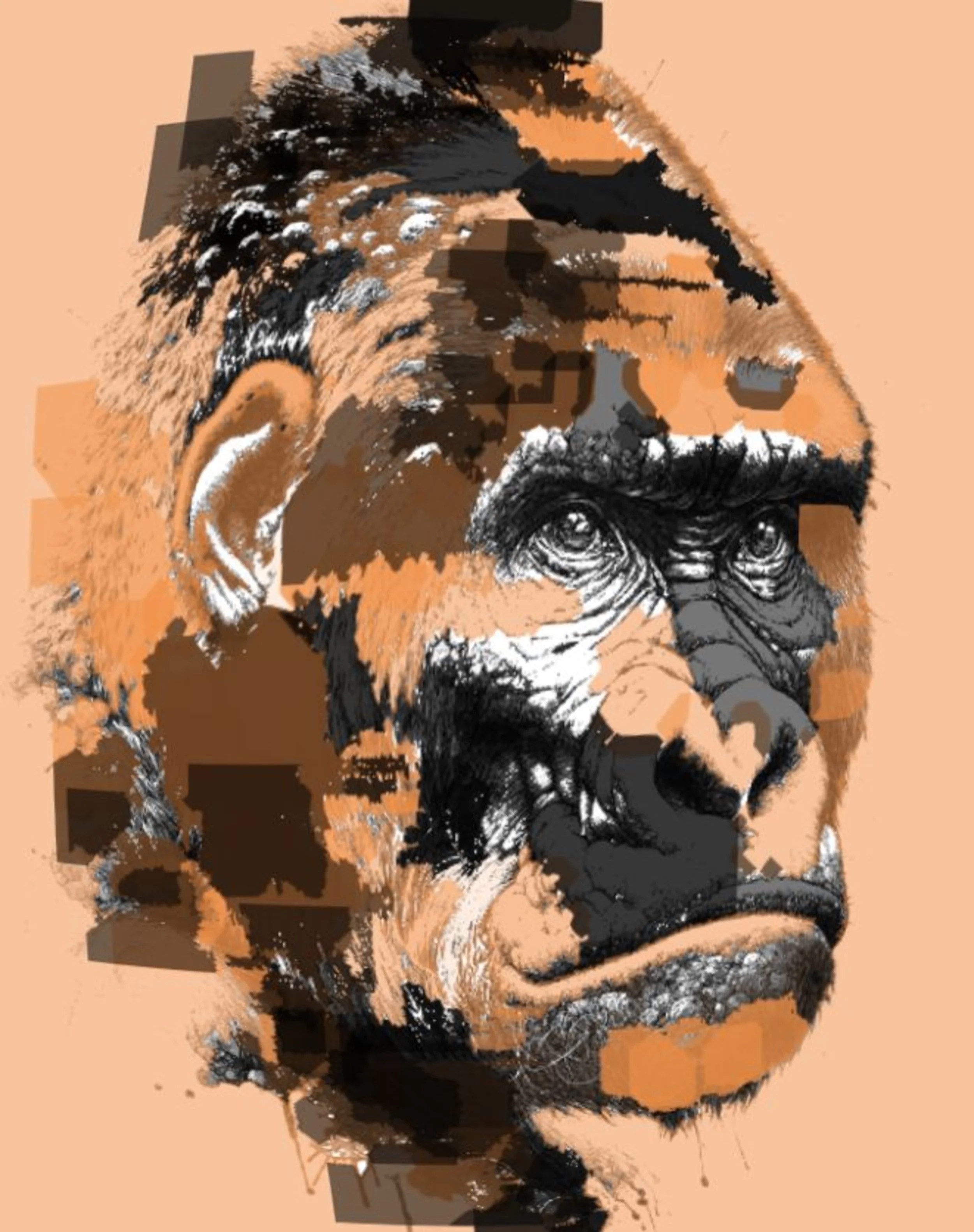 King Kong