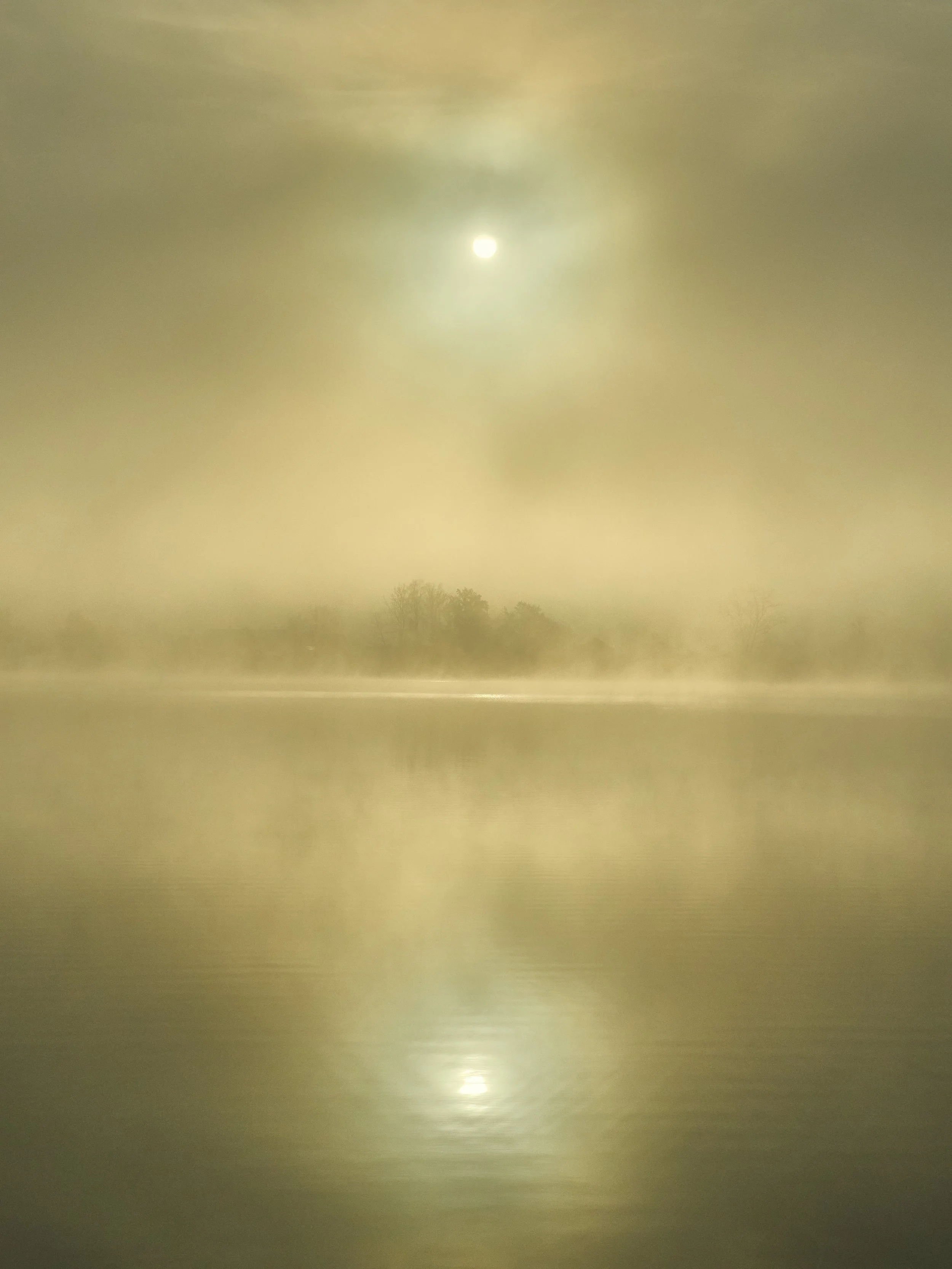Foggy Morning