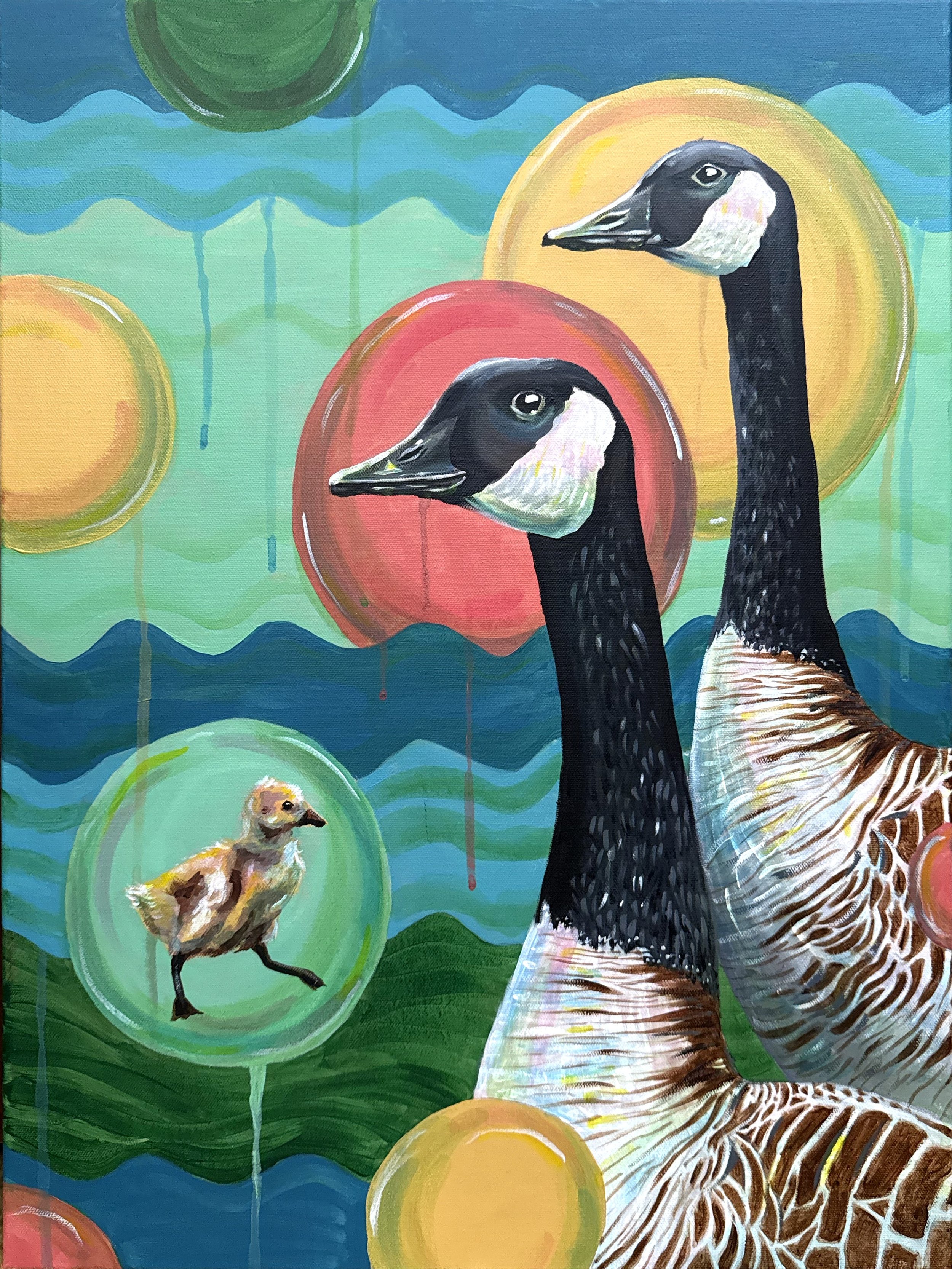 Goose Family