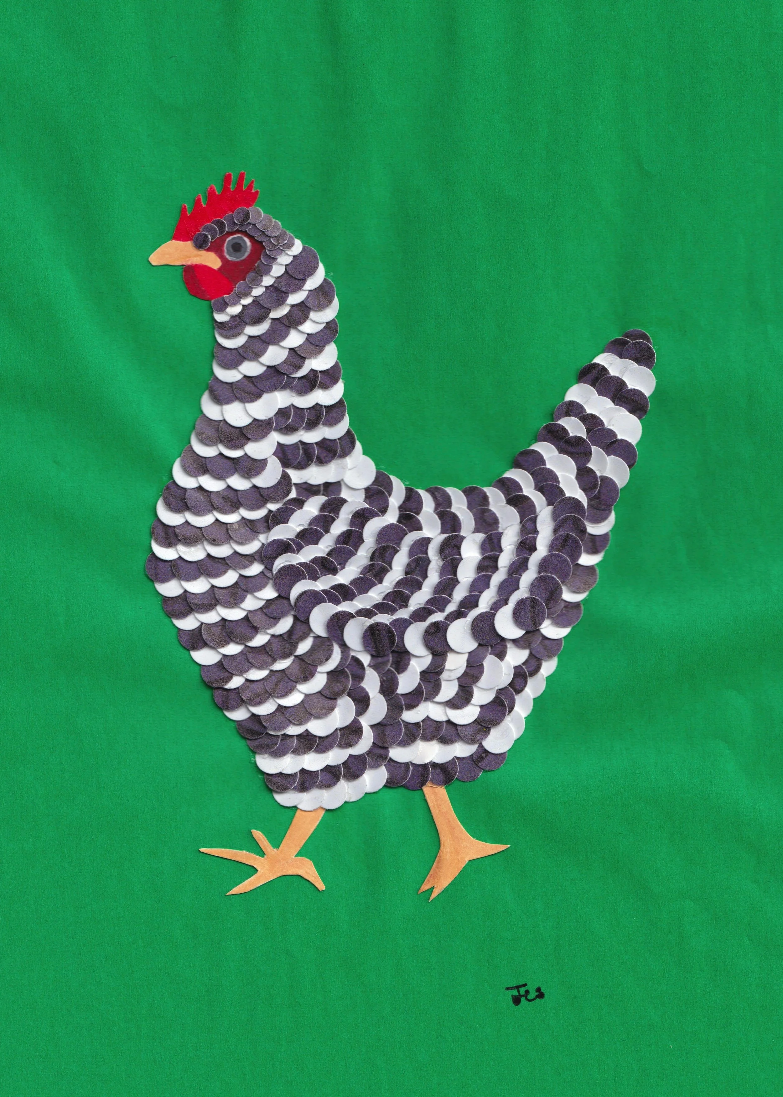 Black and White Hen