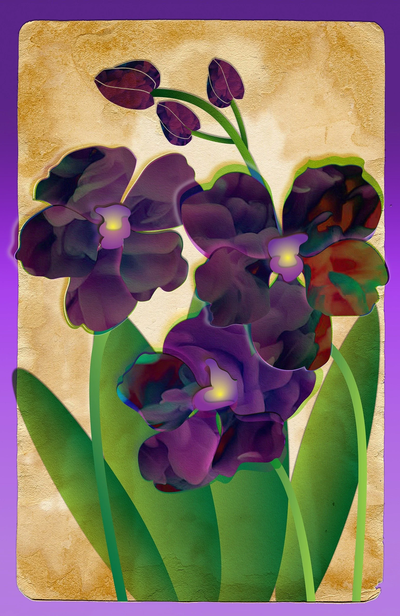 Black Orchids