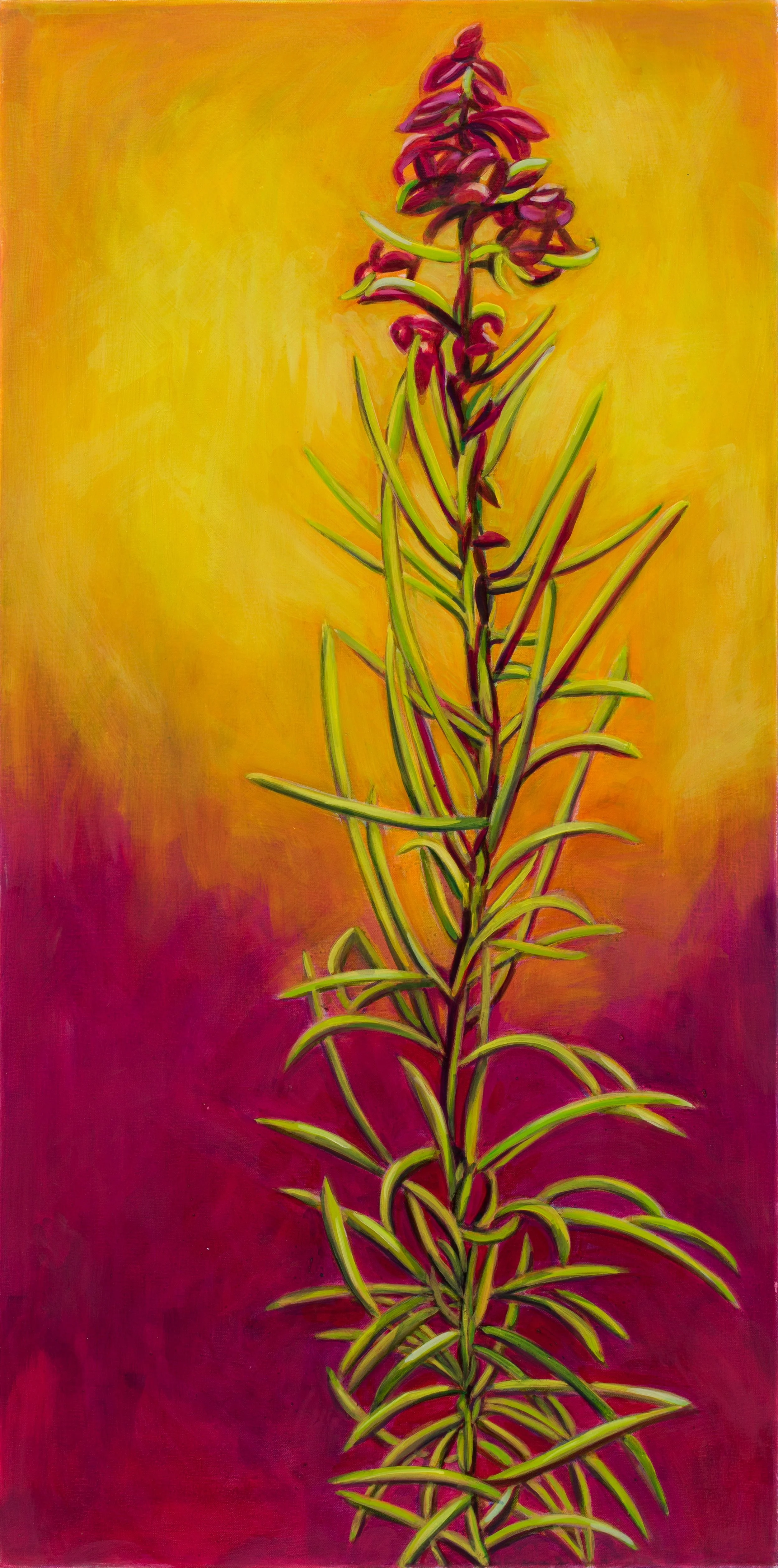 Fireweed: Desire