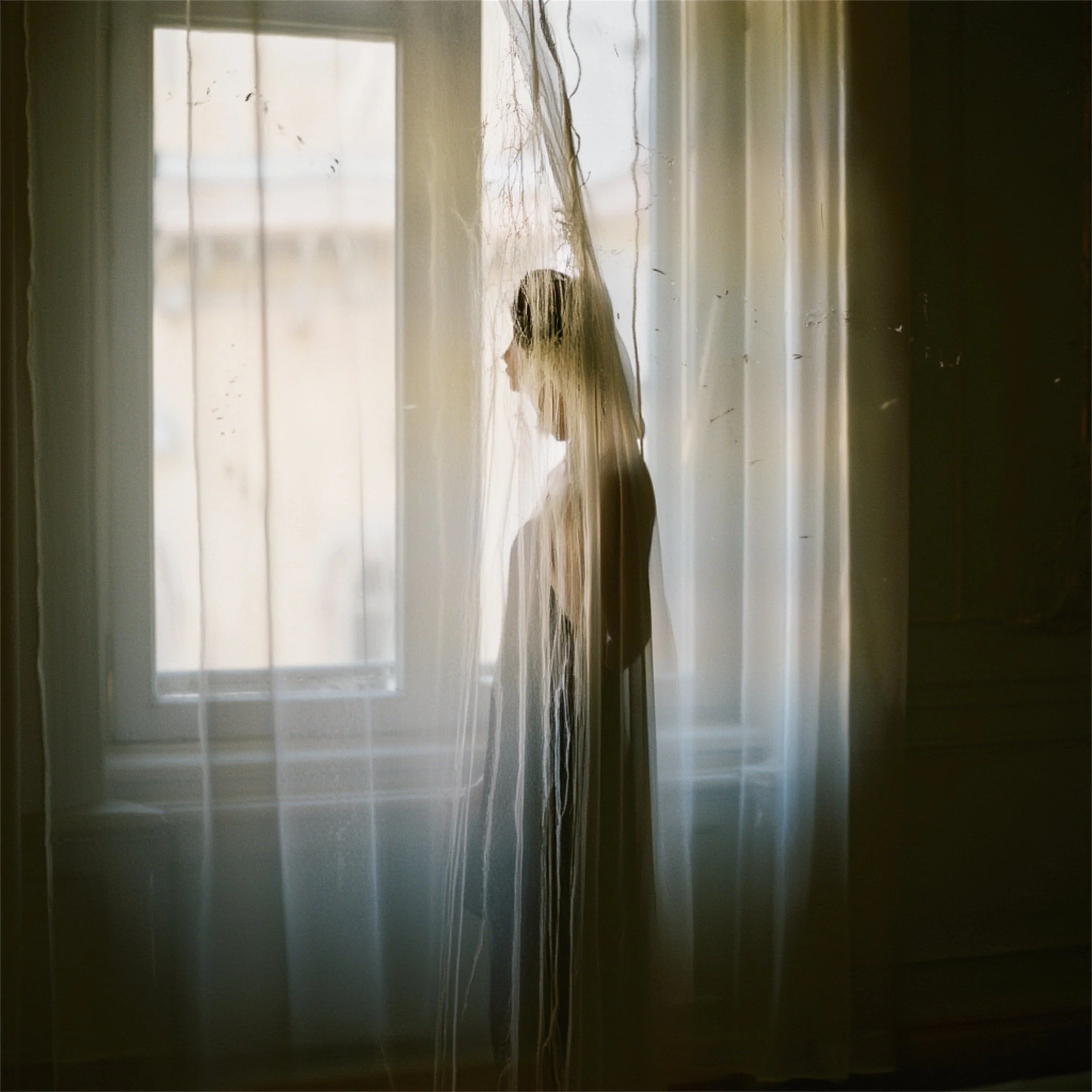 Veil
