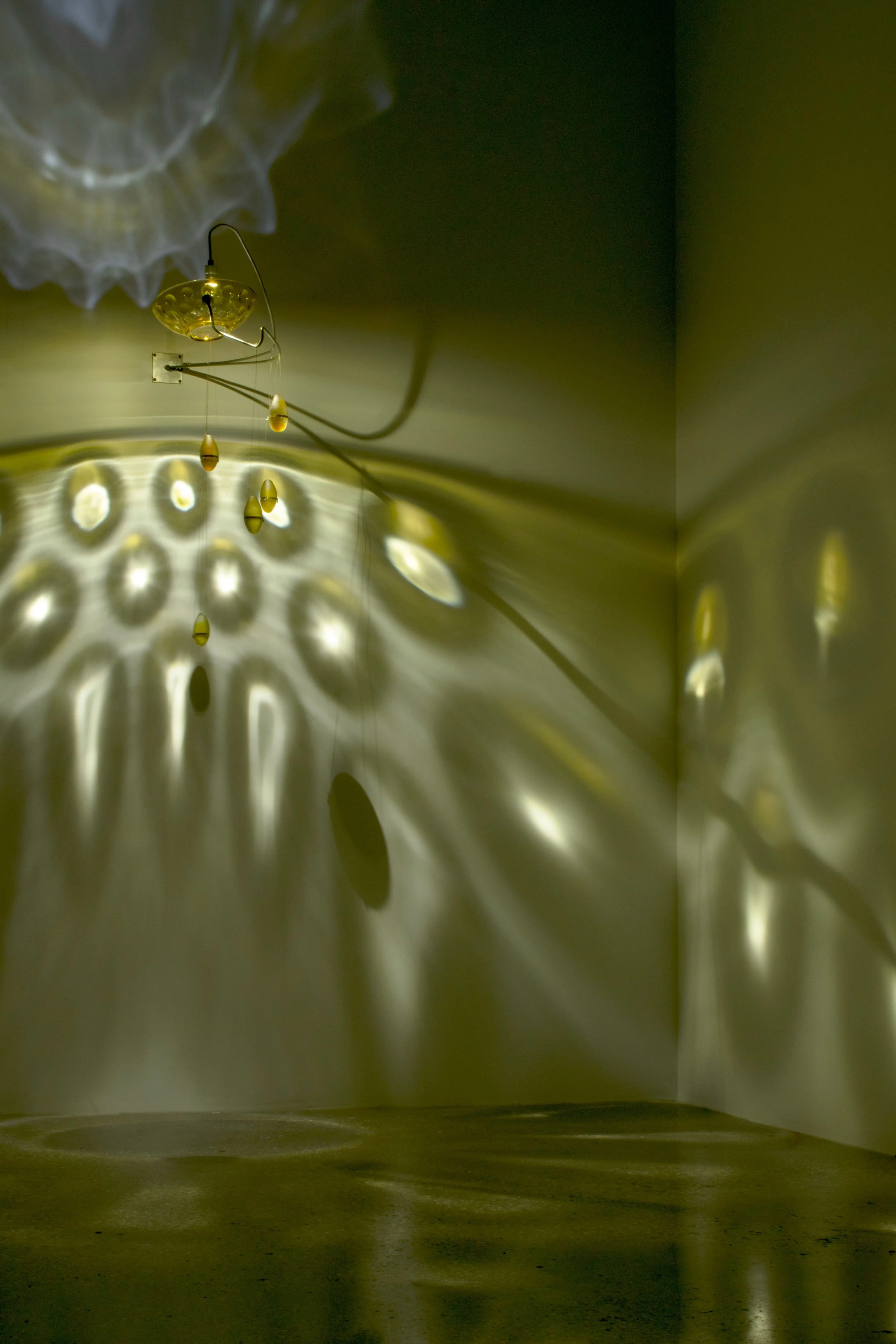 Orbit; EXPO Installation