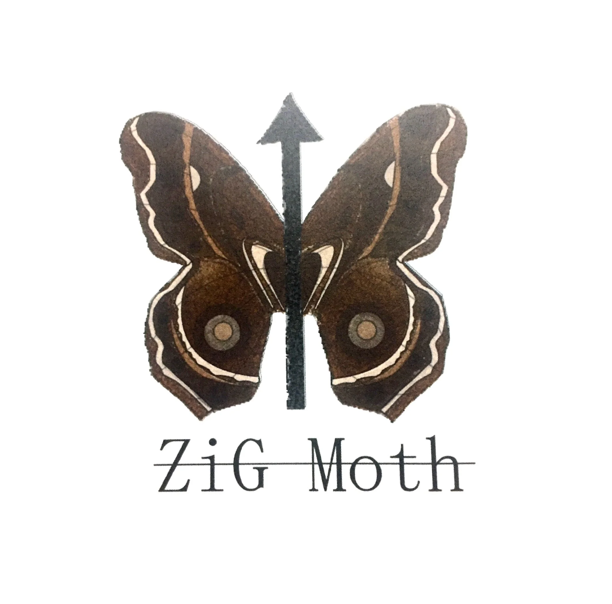 ZiG Moth