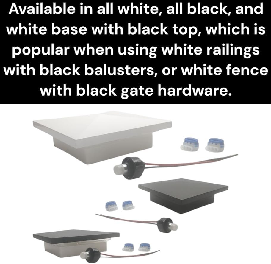 51gDml2ExOL._AC_.jpg