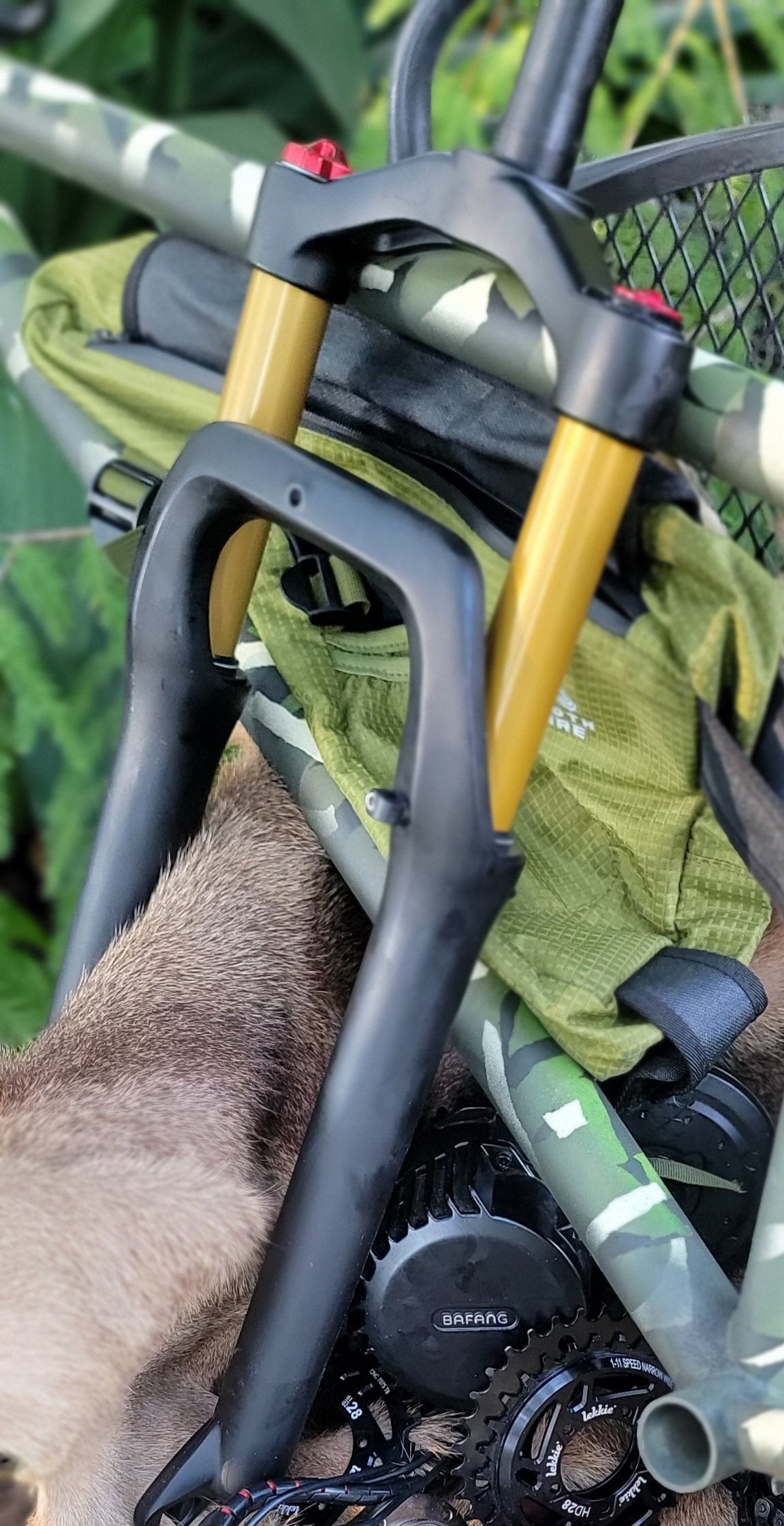 Suspension Fork & Headset