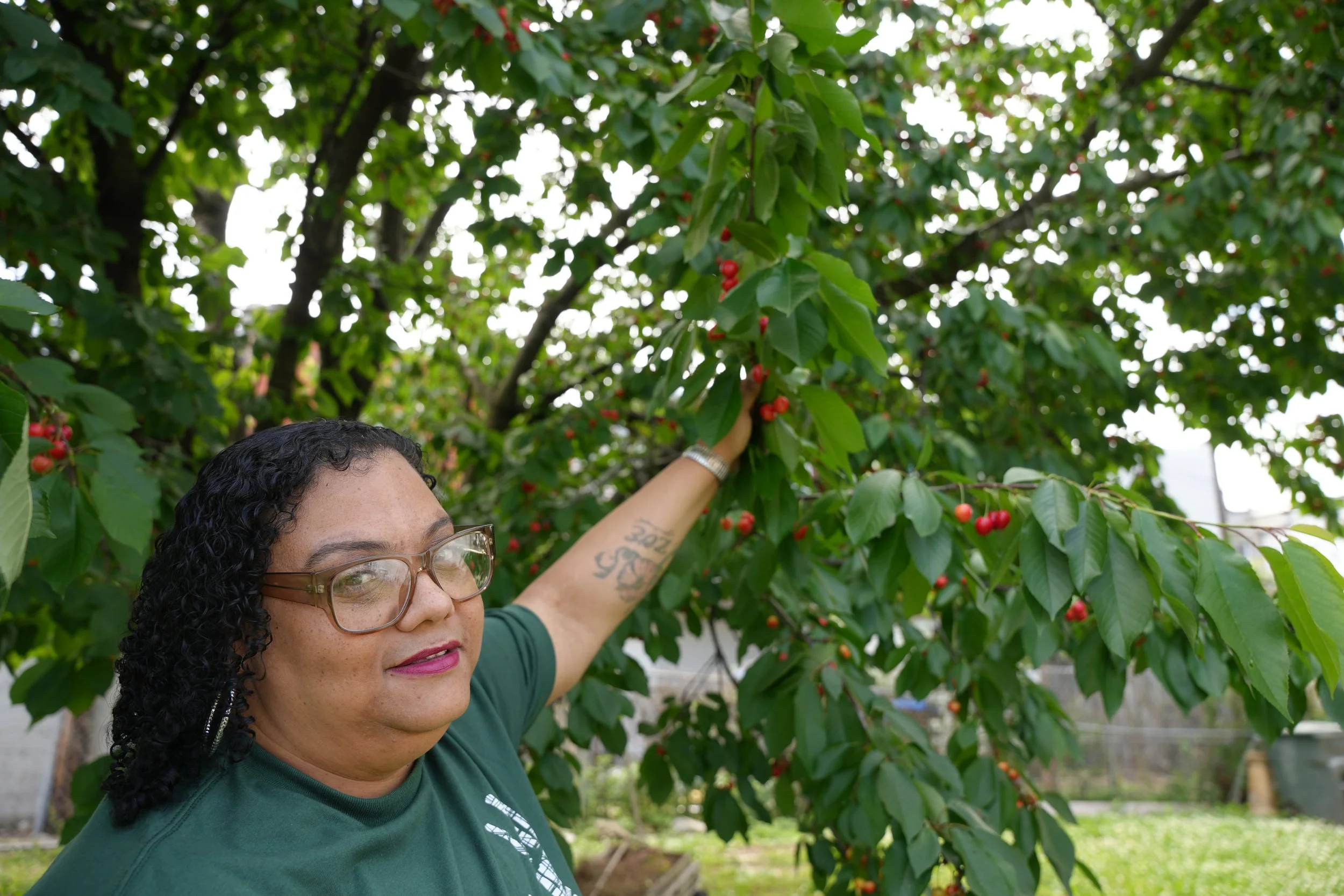 New union pushes city to recognize longtime land stewards who’ve maintained abandoned lots for generations