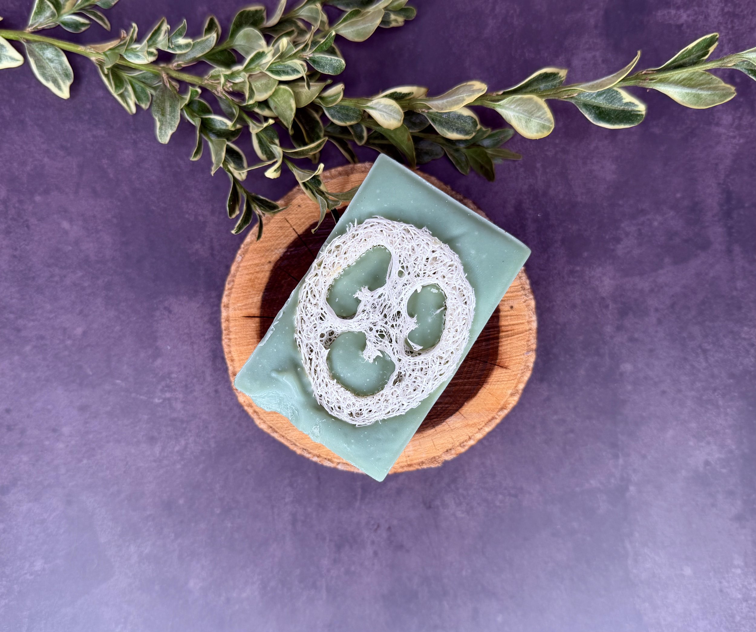 Tea Tree Loofah 2.jpg