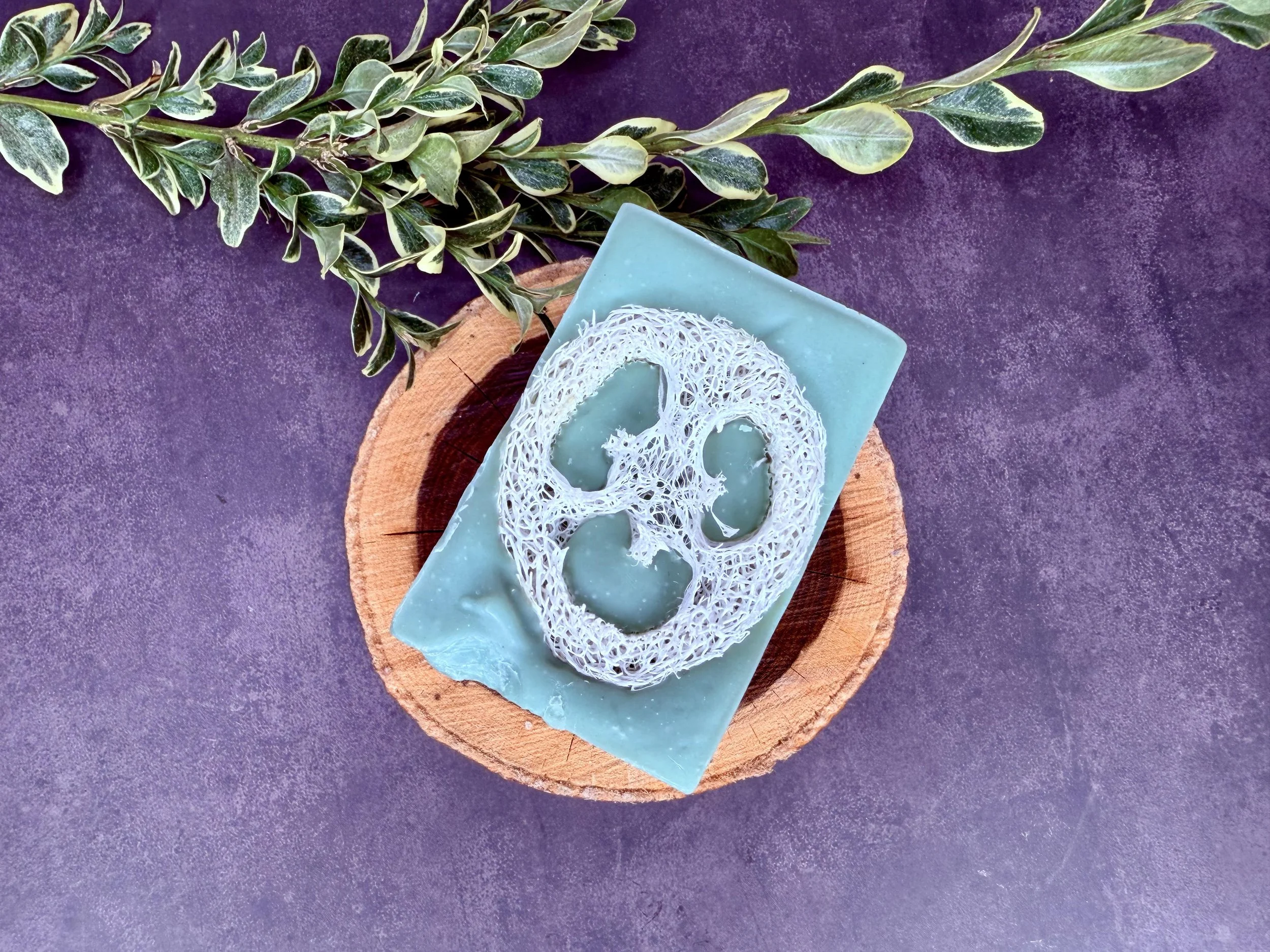 Tea Tree Loofah 3.jpg