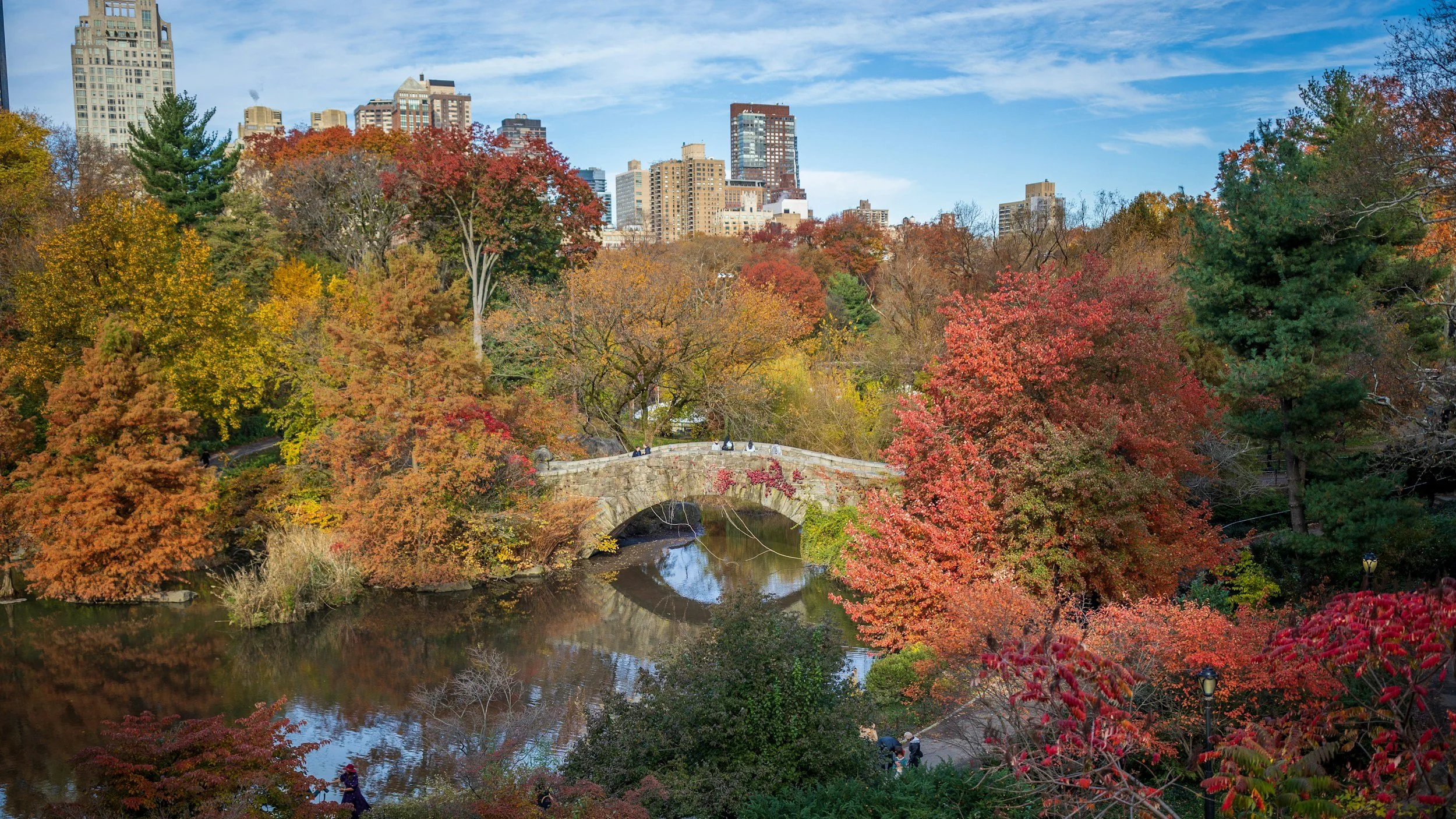 october in nyc.