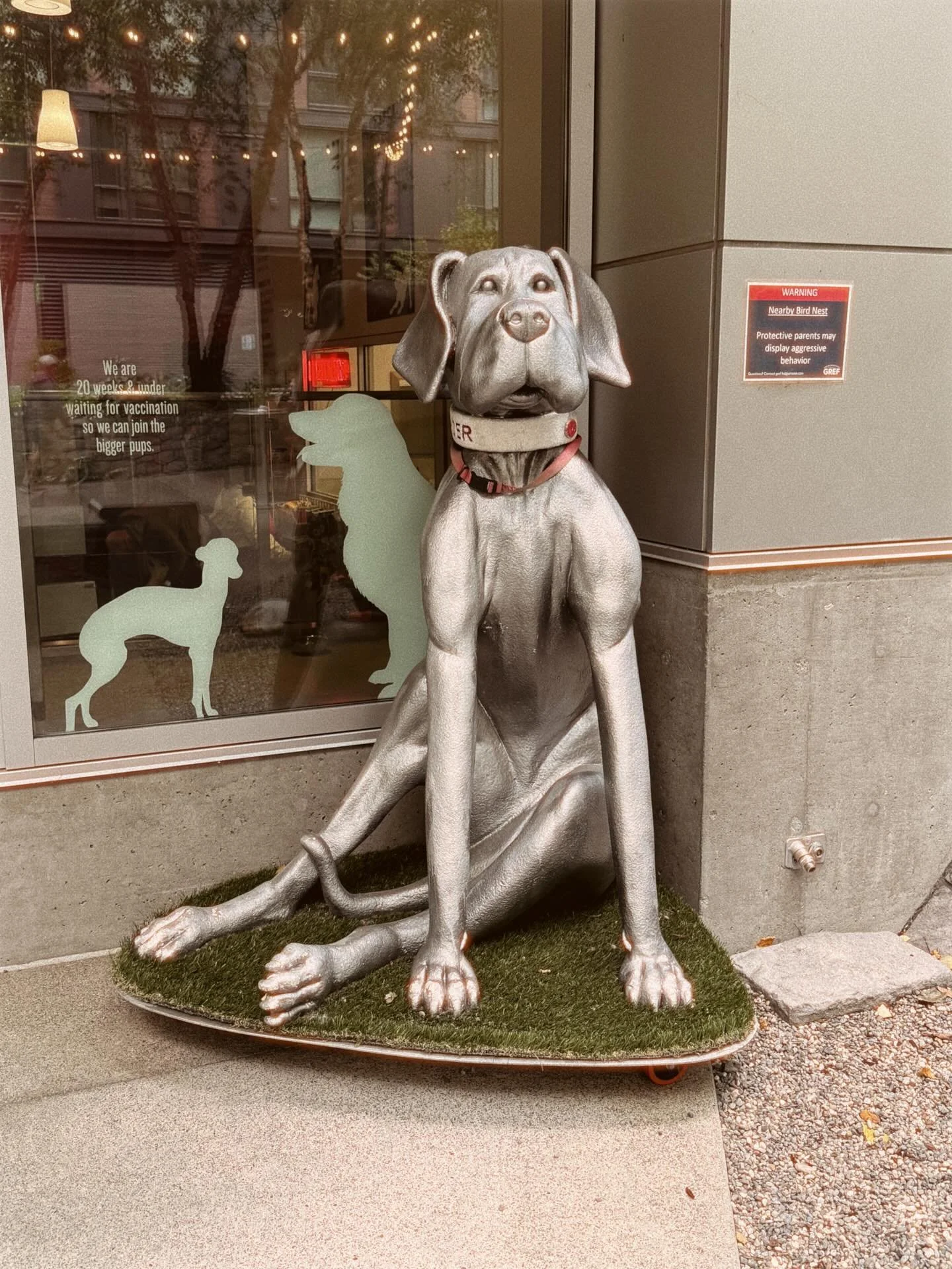 more seattle (part one). ♡♡♡

more art. more sights and sounds. i was told this was the most liberal city in america and i think they are right. empathy and kindness everywhere. a mixed bag of every type of person in one little waterfront city. 

the