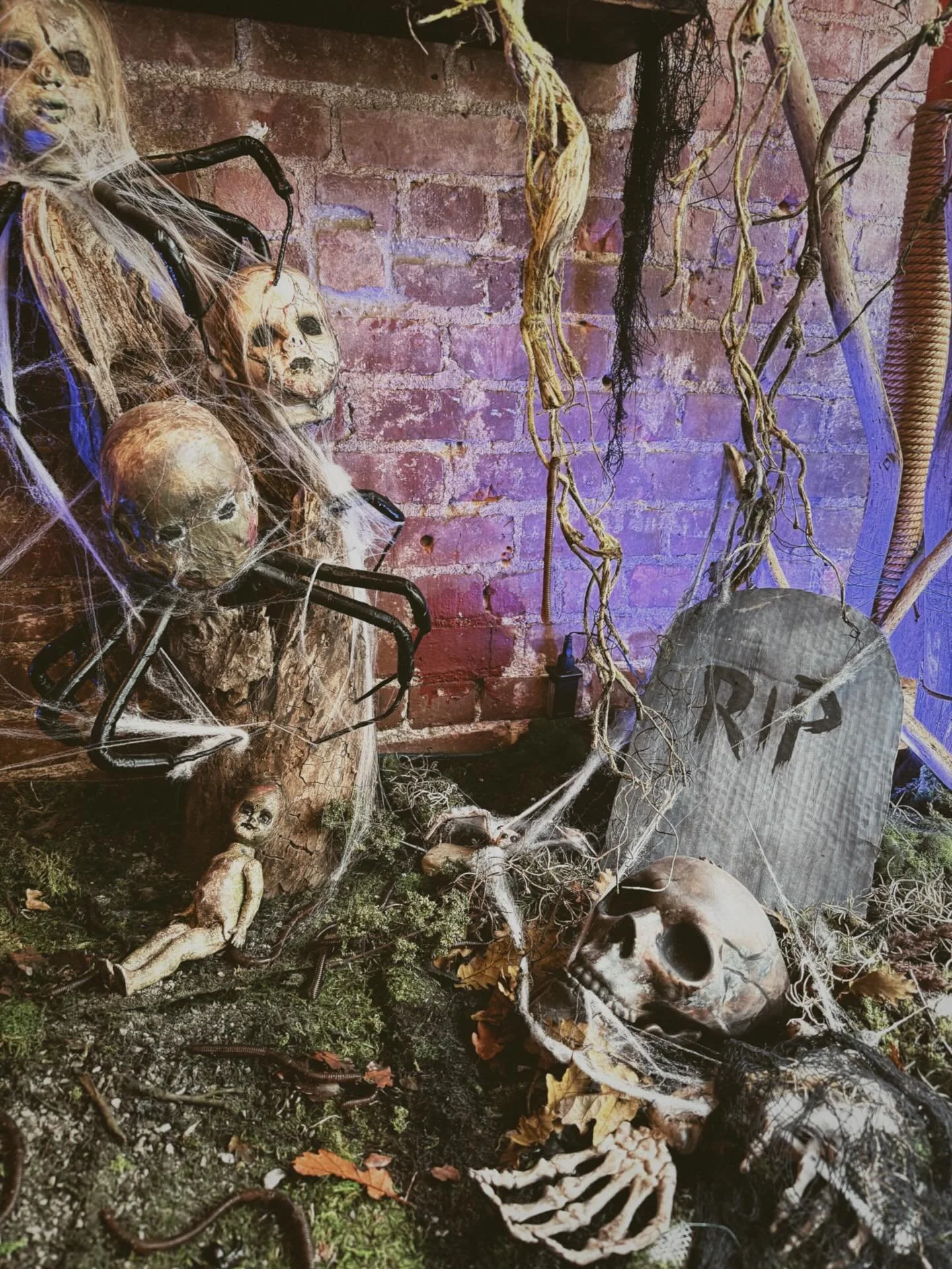 from yours truly. ✌︎✌︎✌︎
moments from a mind that’s all over the place. a spooky and maybe unhinged photo dump. also lily allen’s new album is therapy for the girlies who can’t stand men. it’s me. i’m girlies. 
yours t