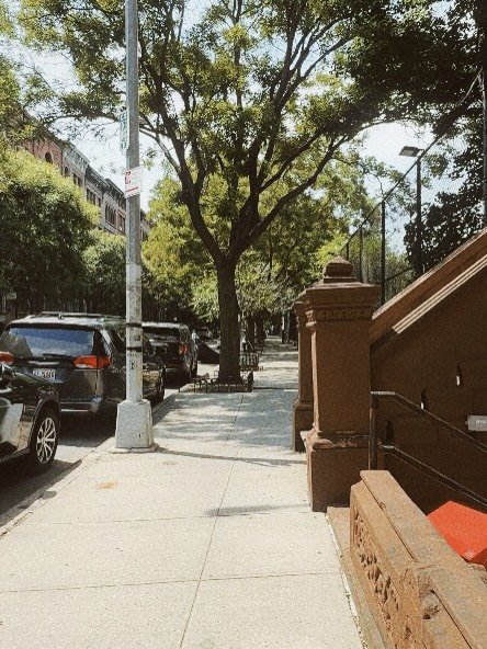 this &amp; that. ➳♡✌︎

sometimes new york city reminds you of why you stay. i&rsquo;ve been having a wonderful time healing and moving forward in life. thanks to so many beautiful things &amp; people. 

go outside. it&rsquo;s nice out. 

#photodump #